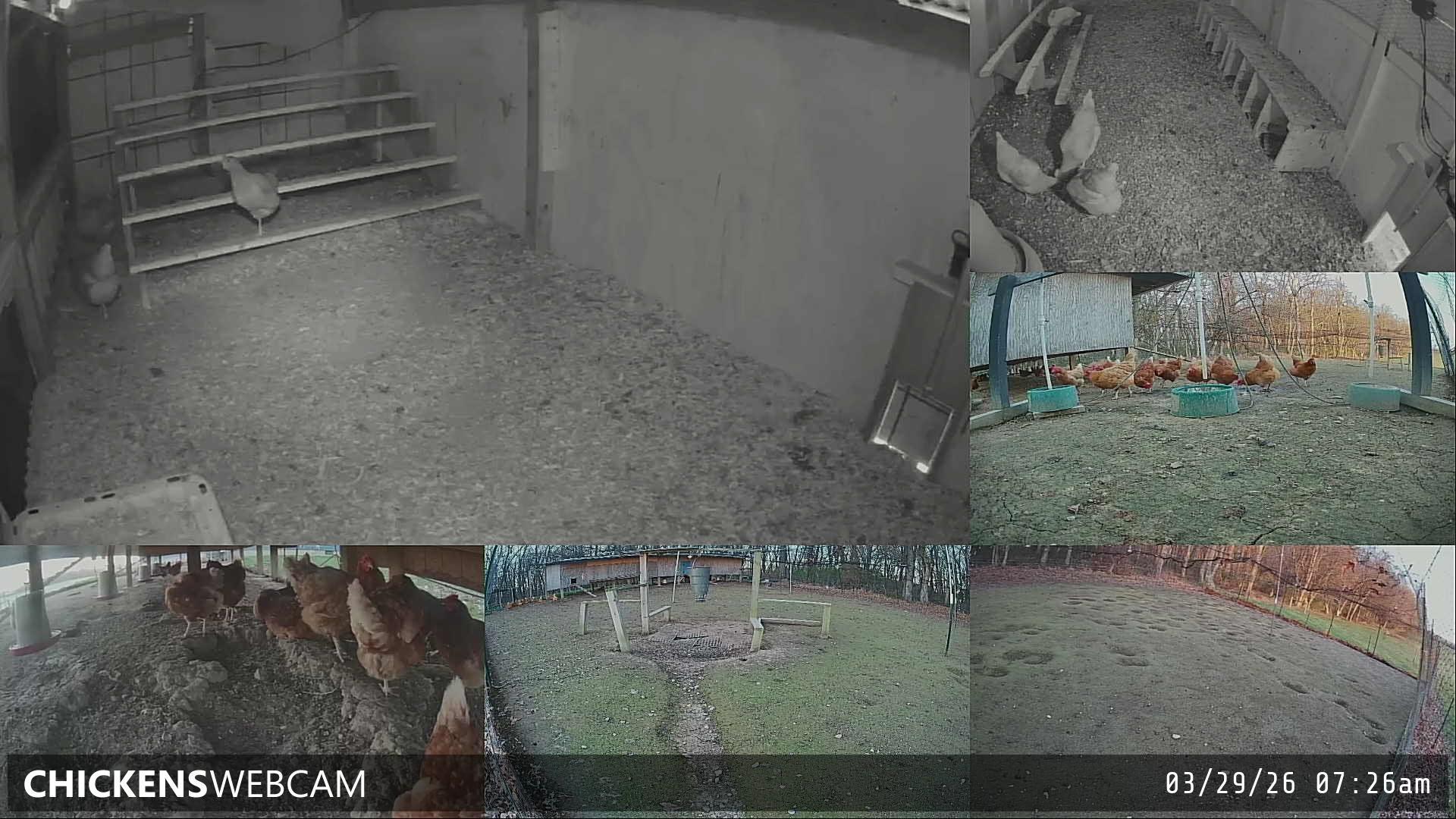 Twitch Stream Preview