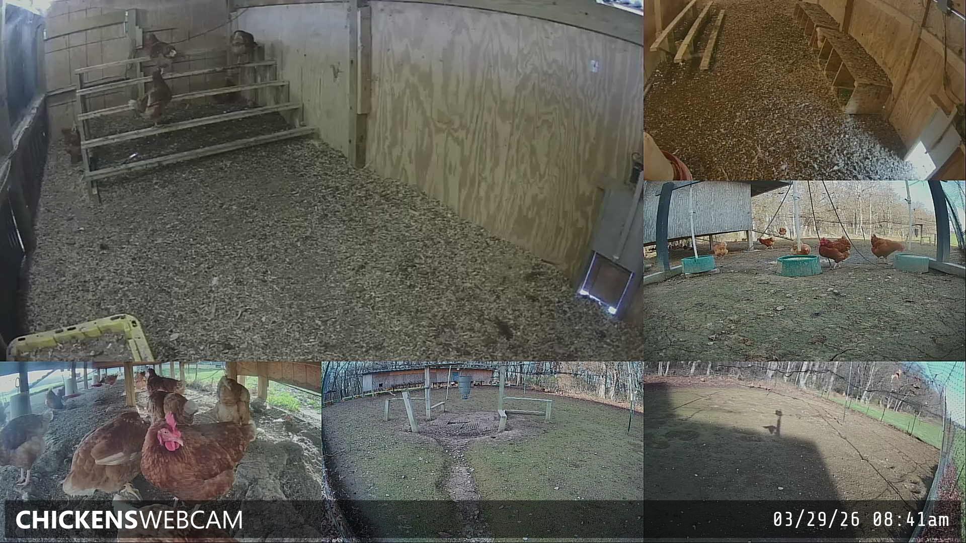 Twitch Stream Preview