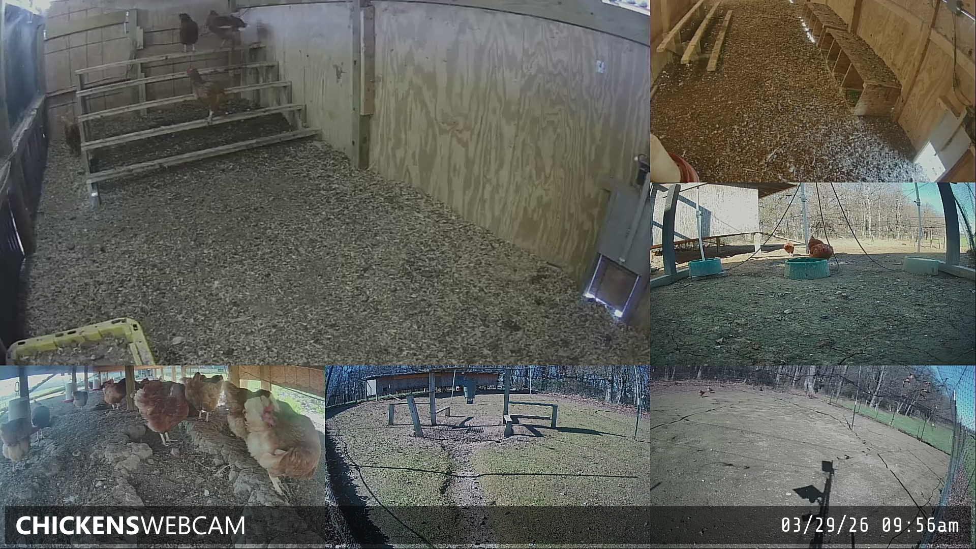 Twitch Stream Preview