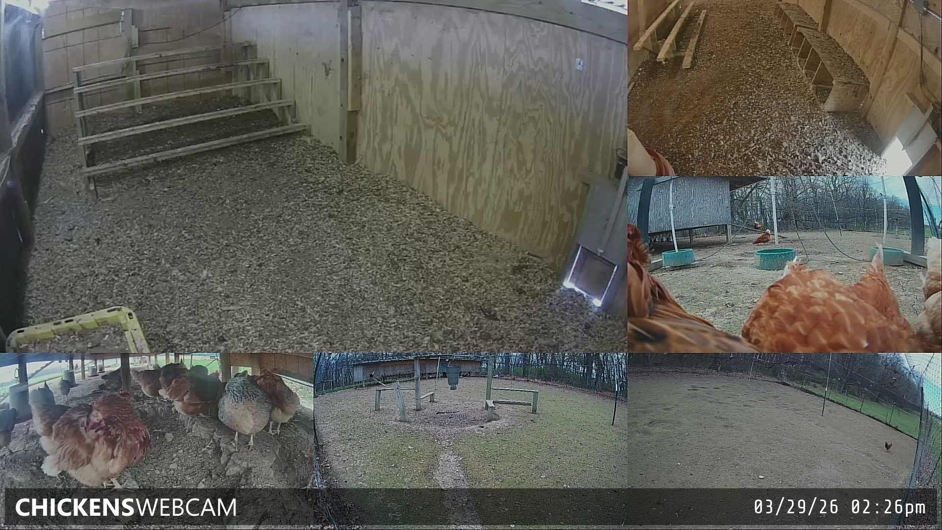 Twitch Stream Preview