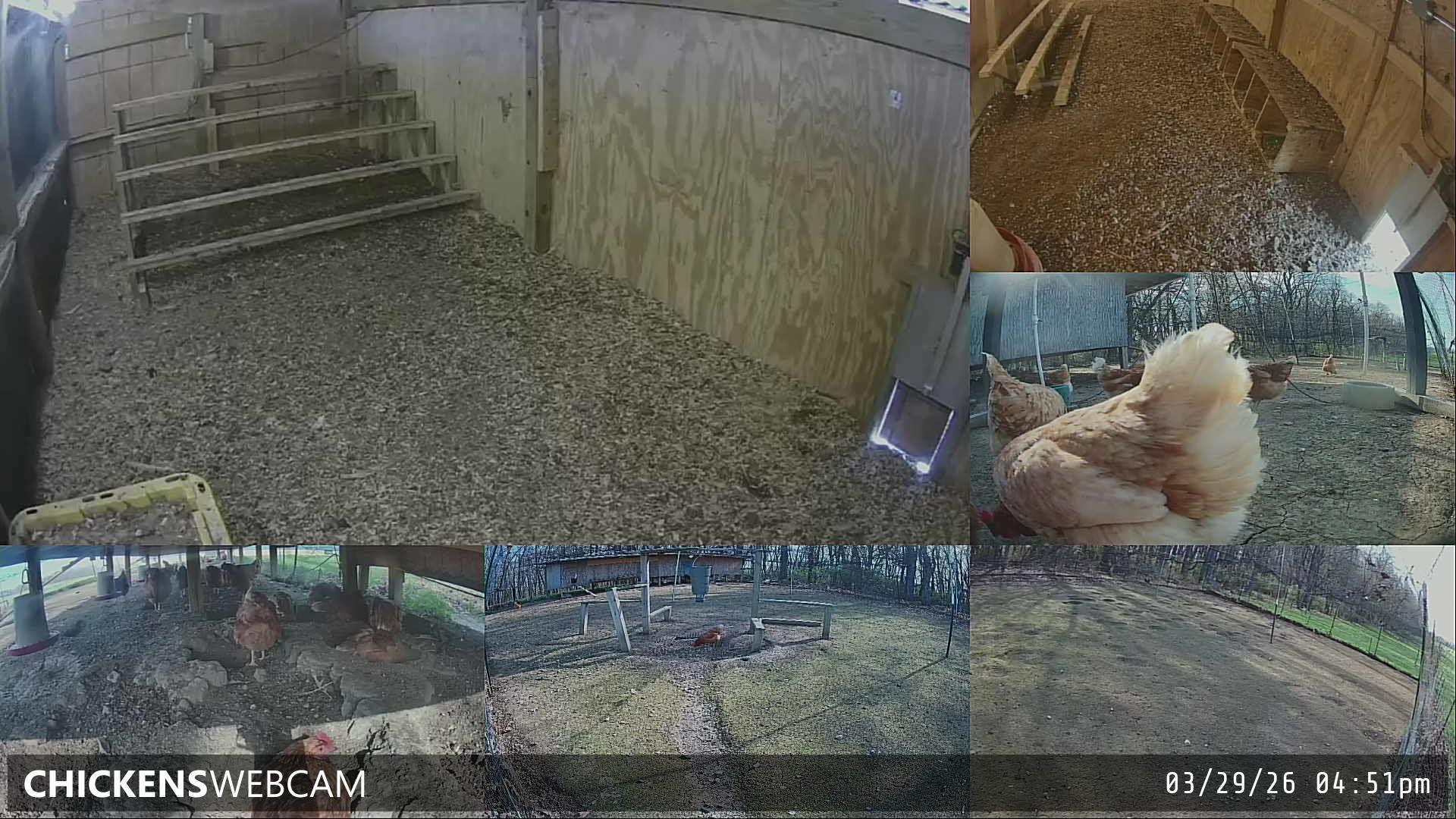 Twitch Stream Preview