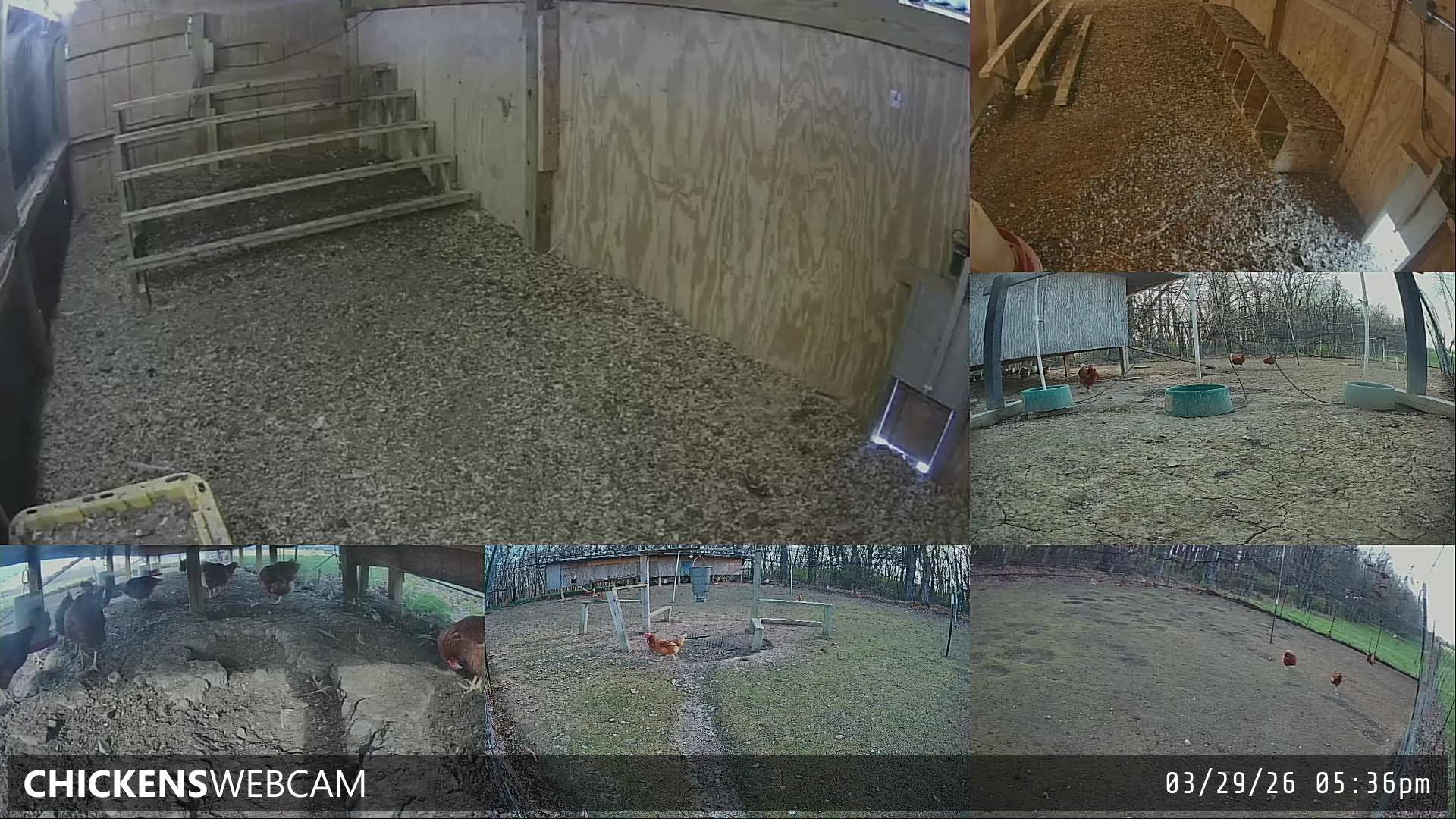 Twitch Stream Preview