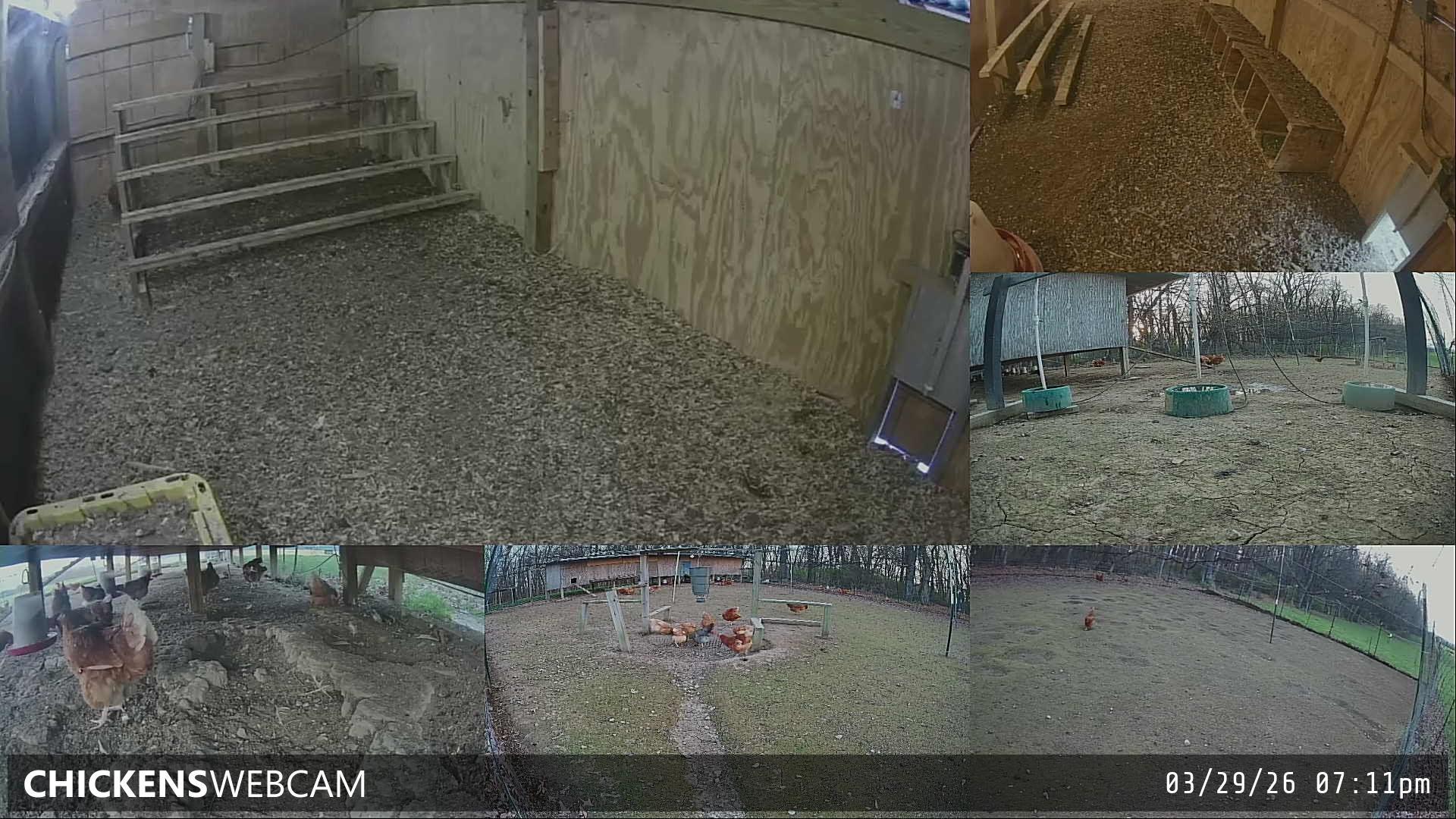 Twitch Stream Preview