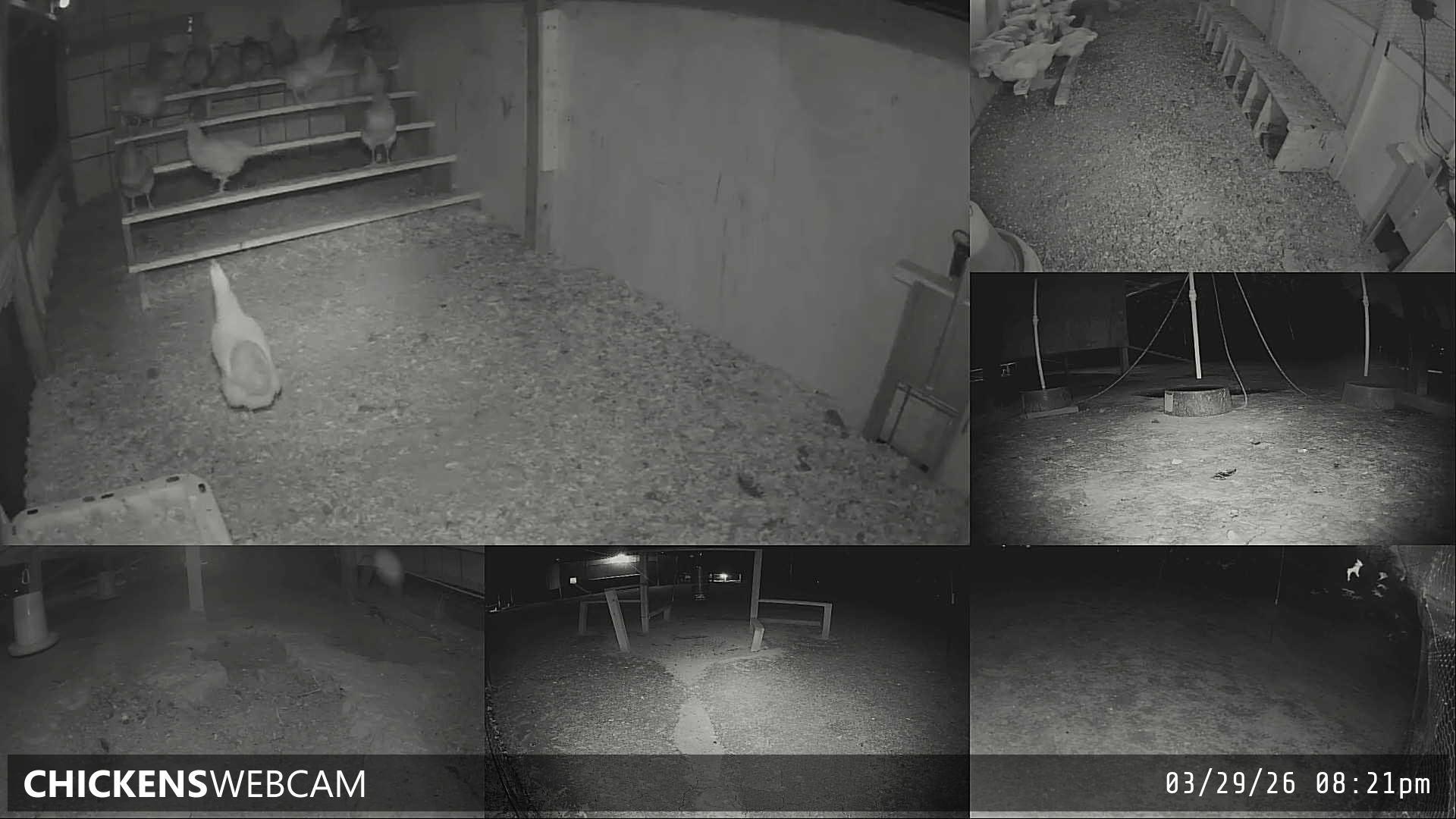 Twitch Stream Preview