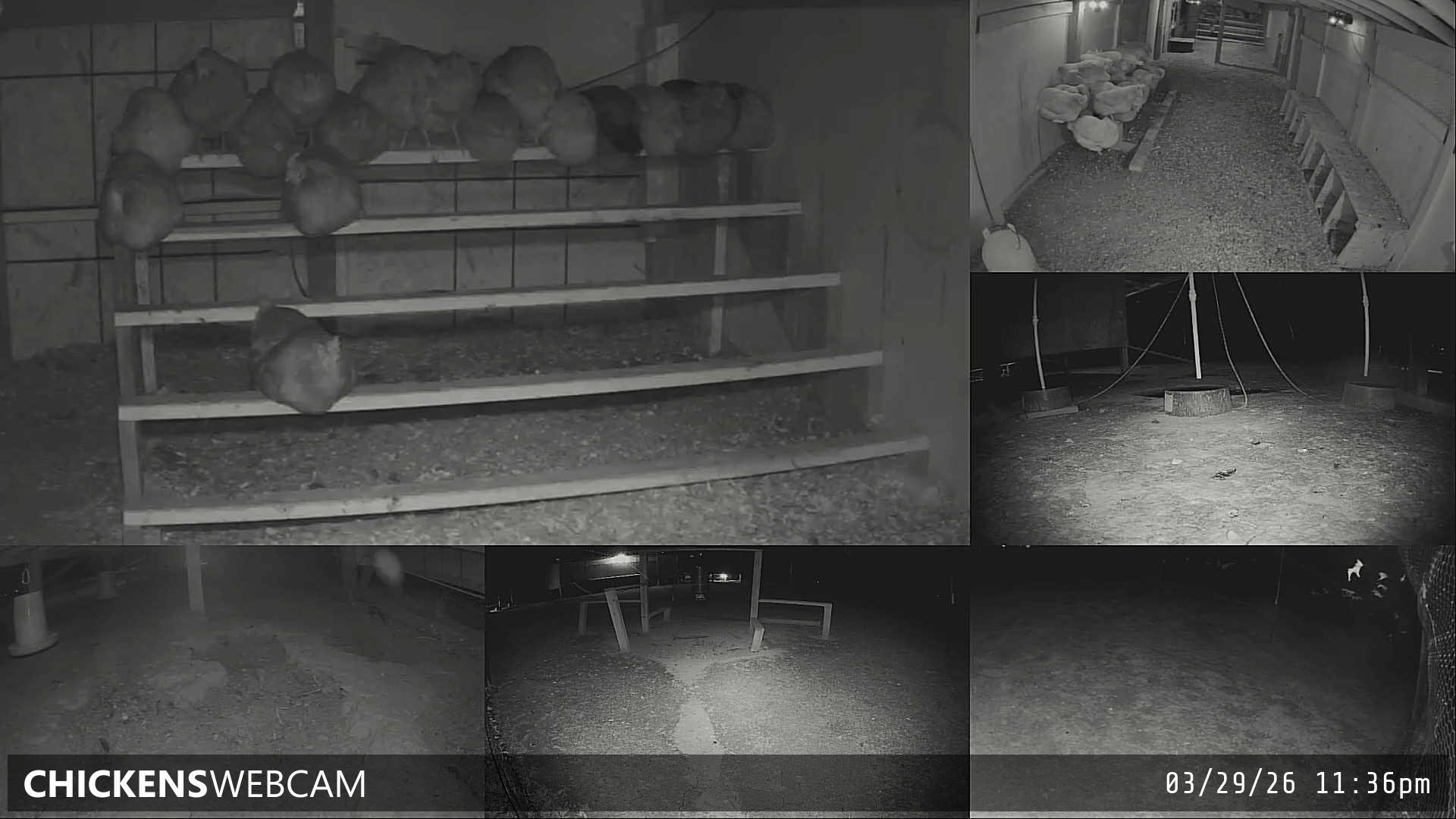 Twitch Stream Preview