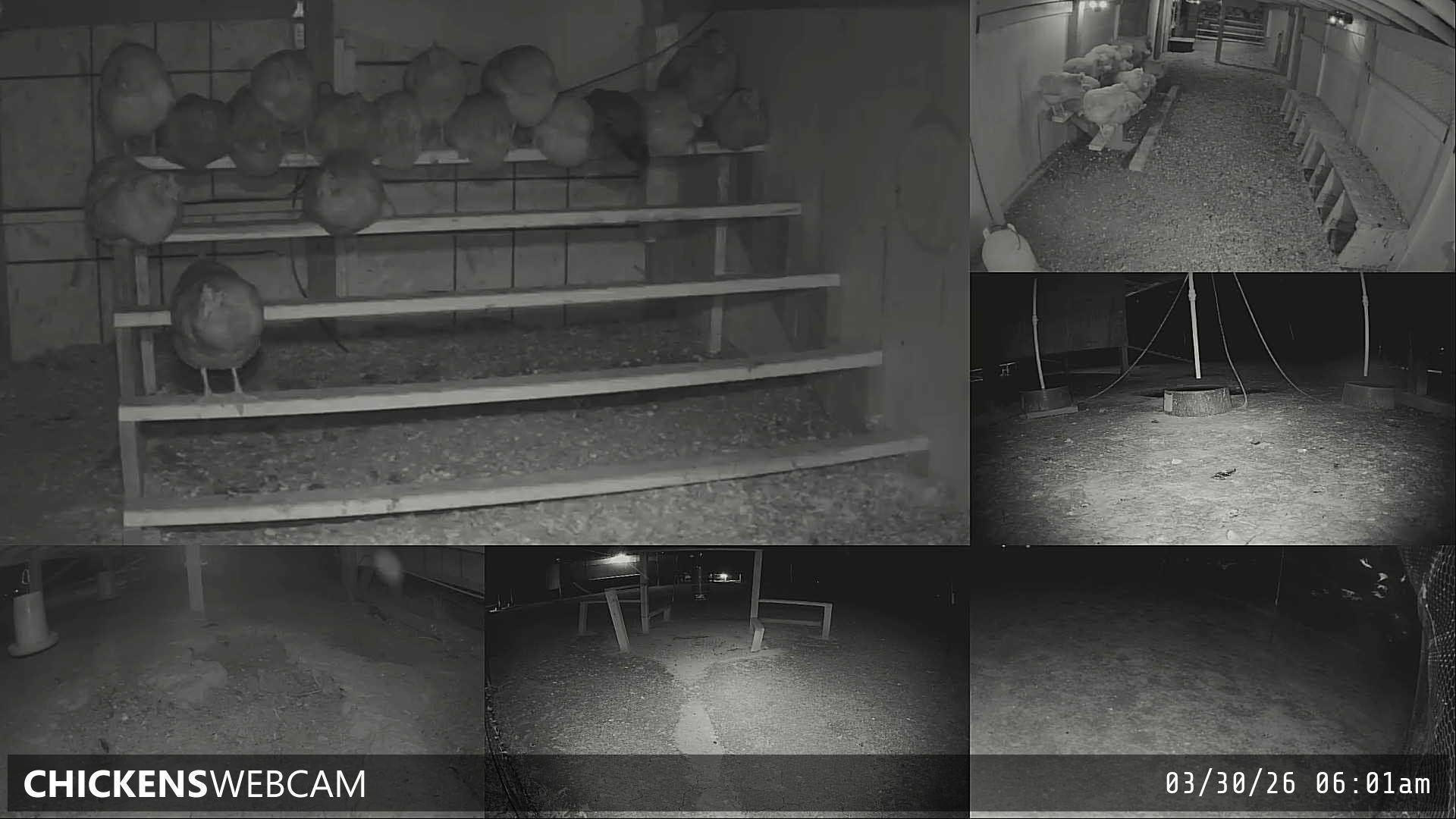 Twitch Stream Preview