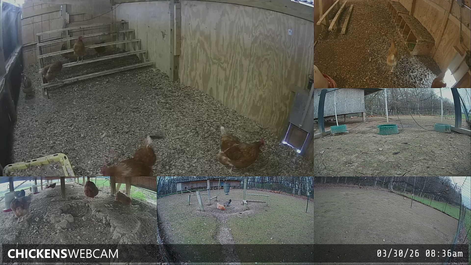 Twitch Stream Preview