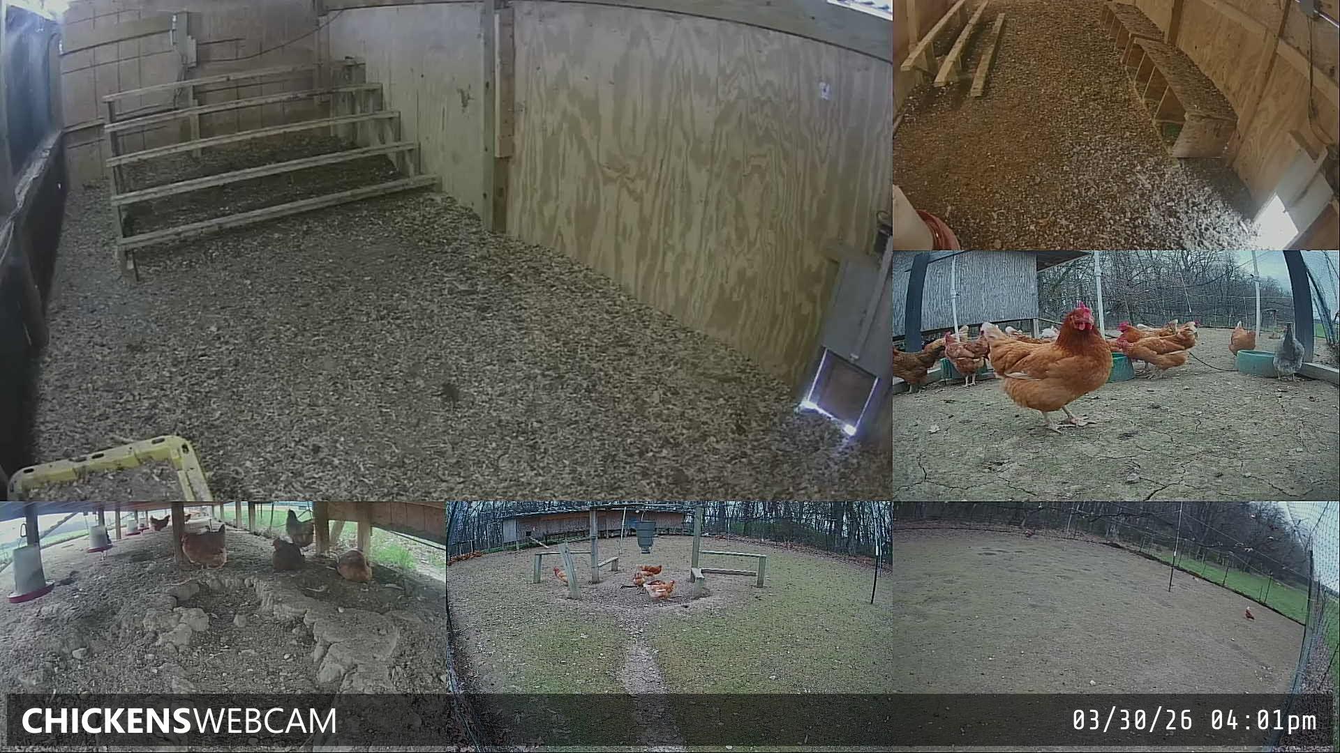 Twitch Stream Preview