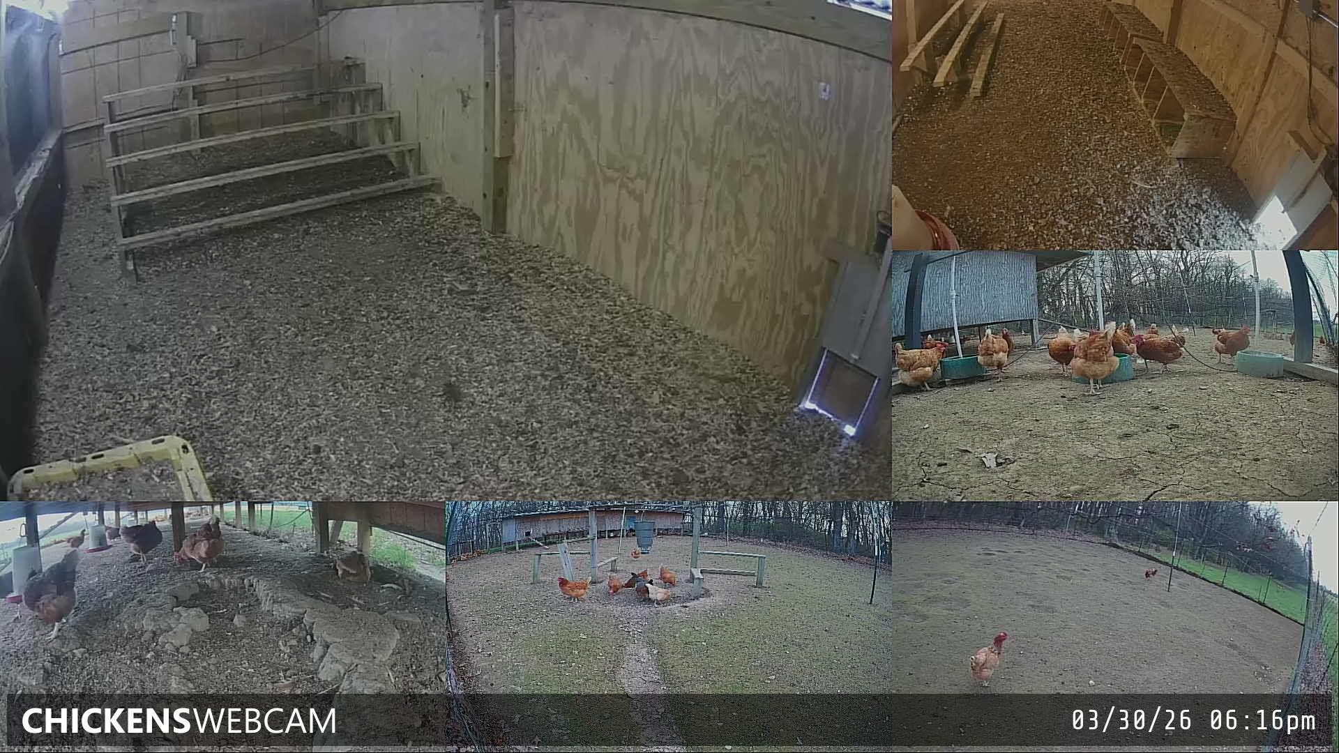 Twitch Stream Preview