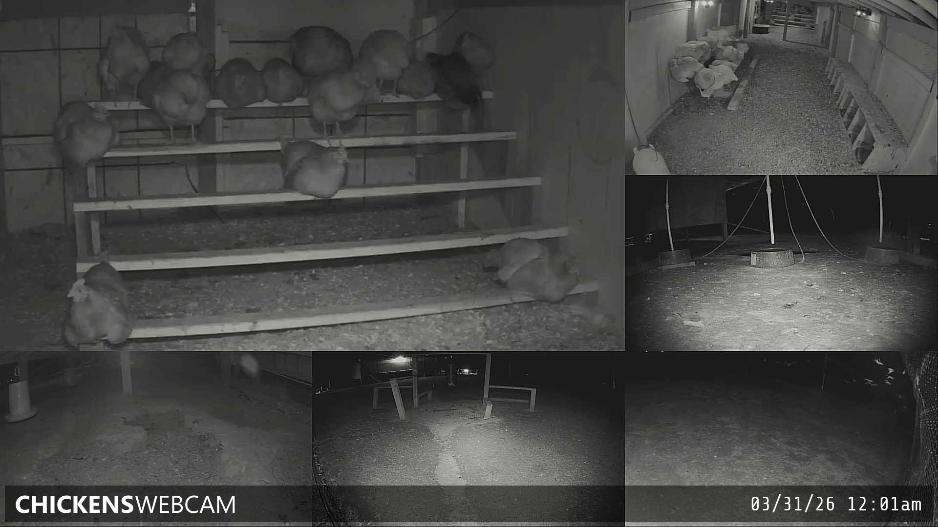 Twitch Stream Preview