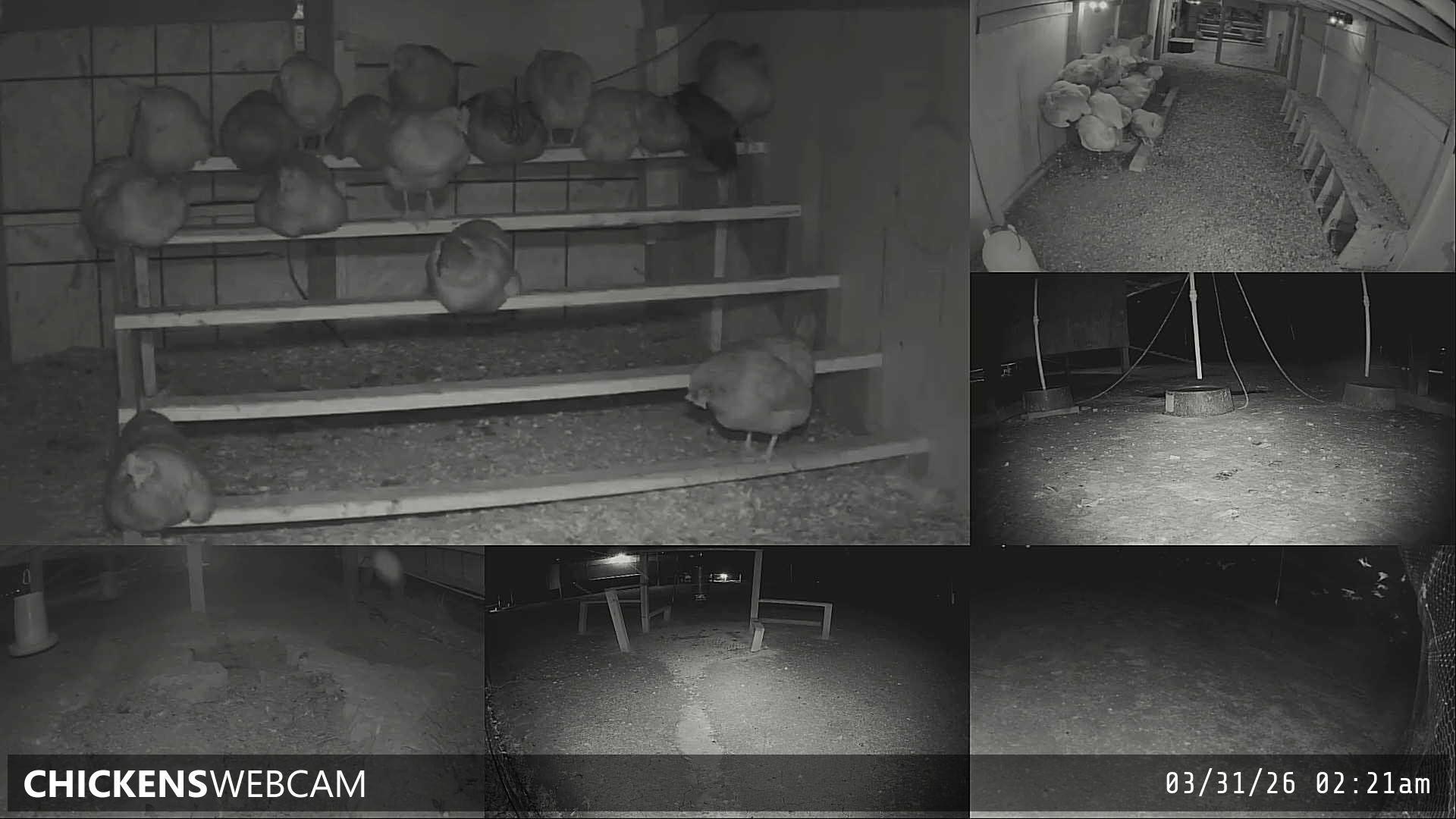 Twitch Stream Preview