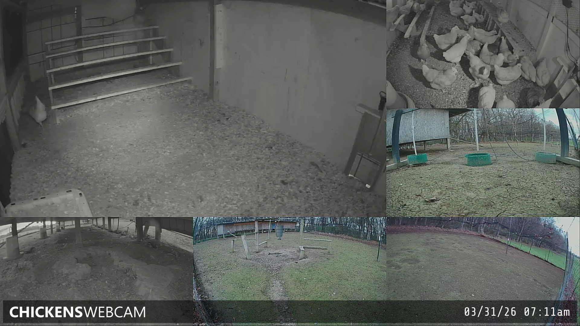 Twitch Stream Preview