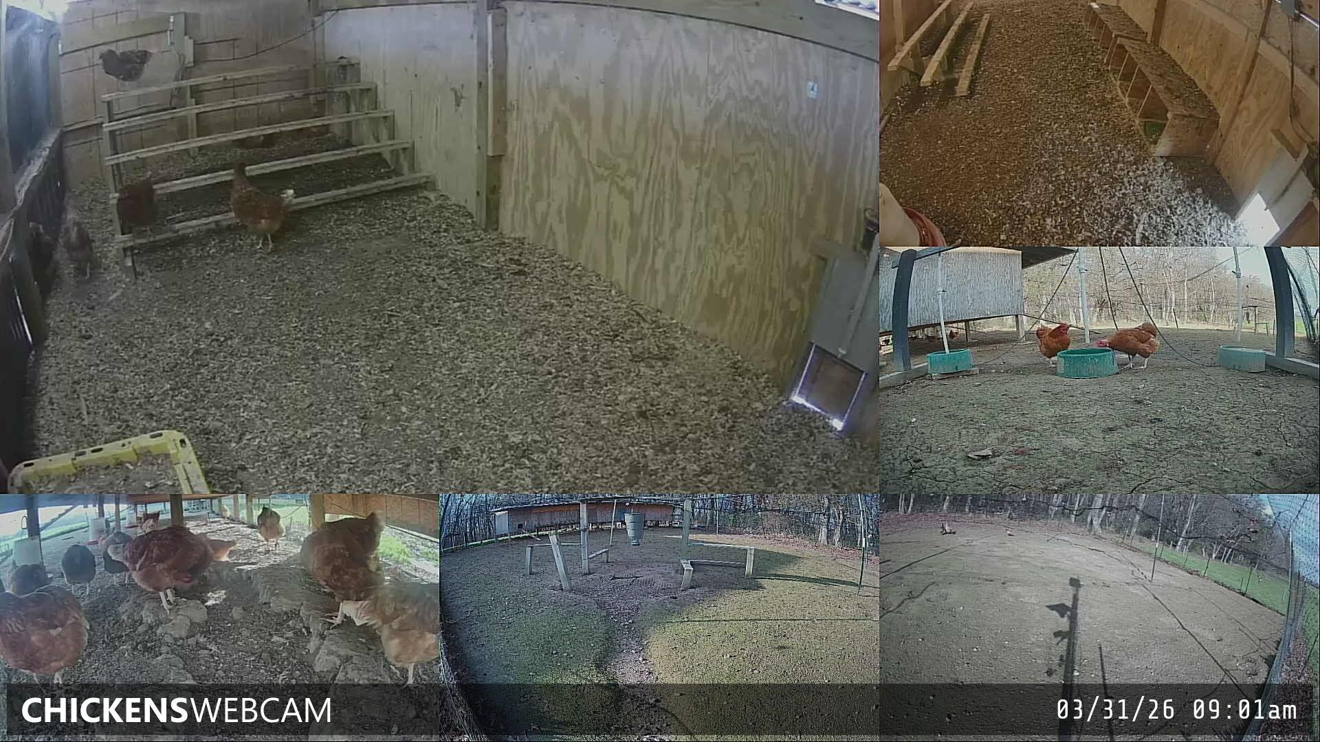 Twitch Stream Preview