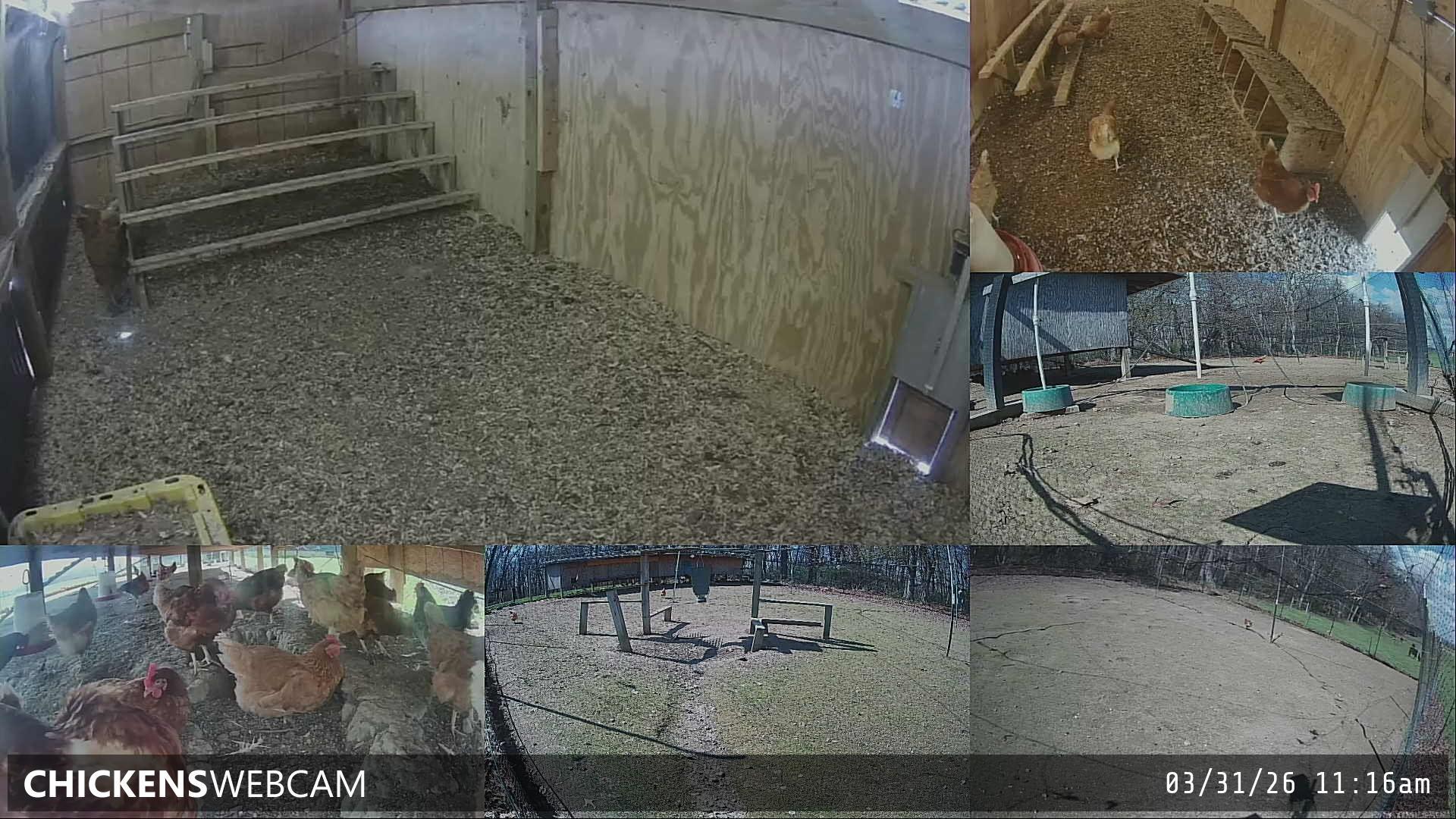 Twitch Stream Preview