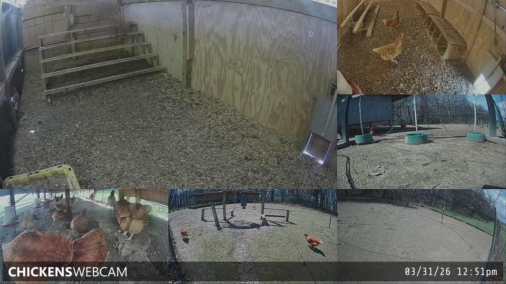 Twitch Stream Preview