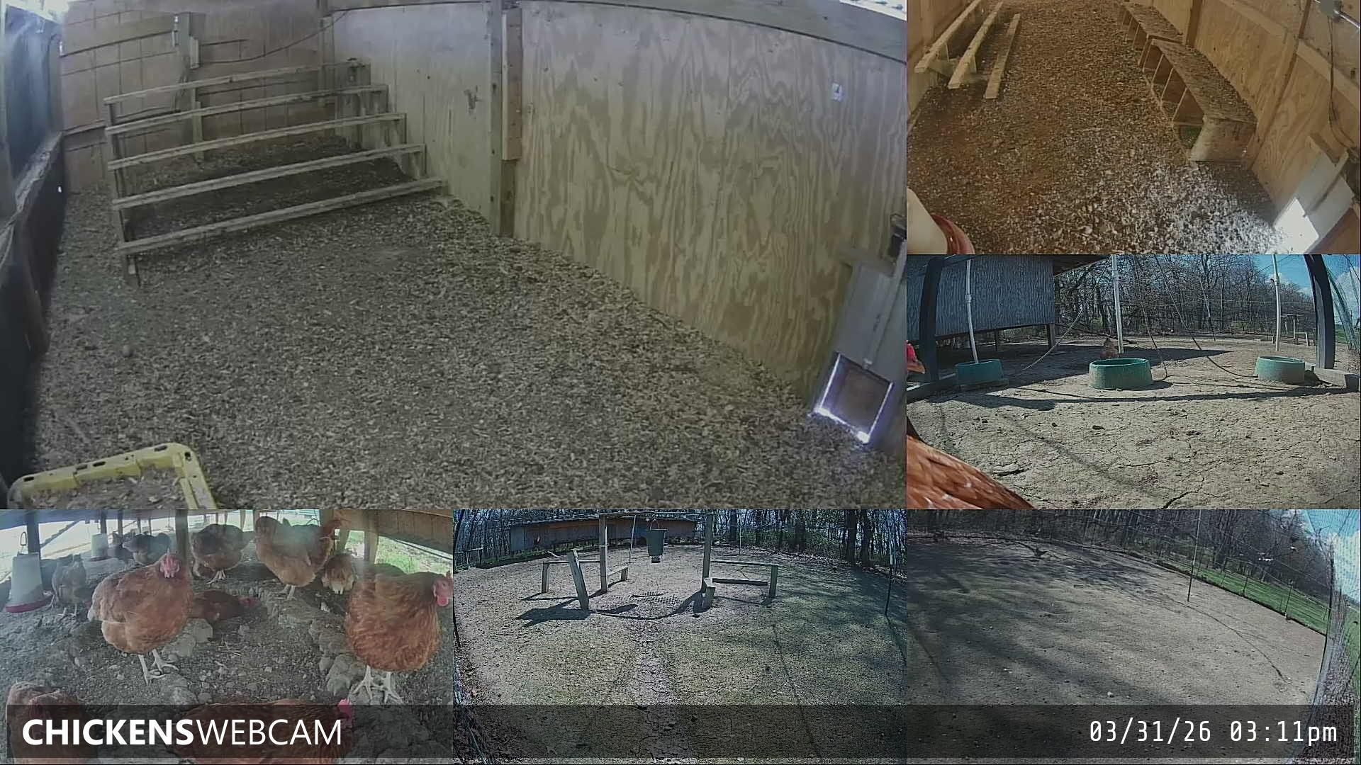 Twitch Stream Preview