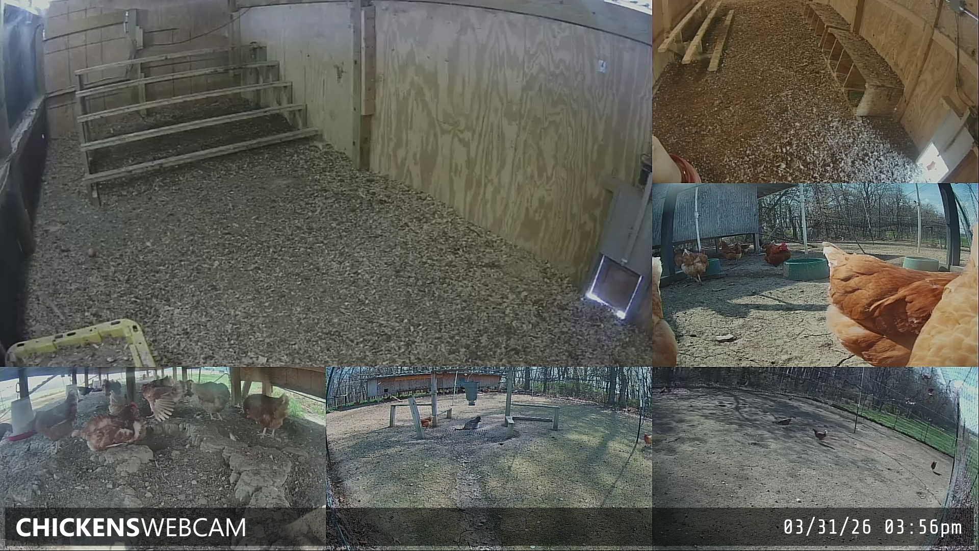 Twitch Stream Preview