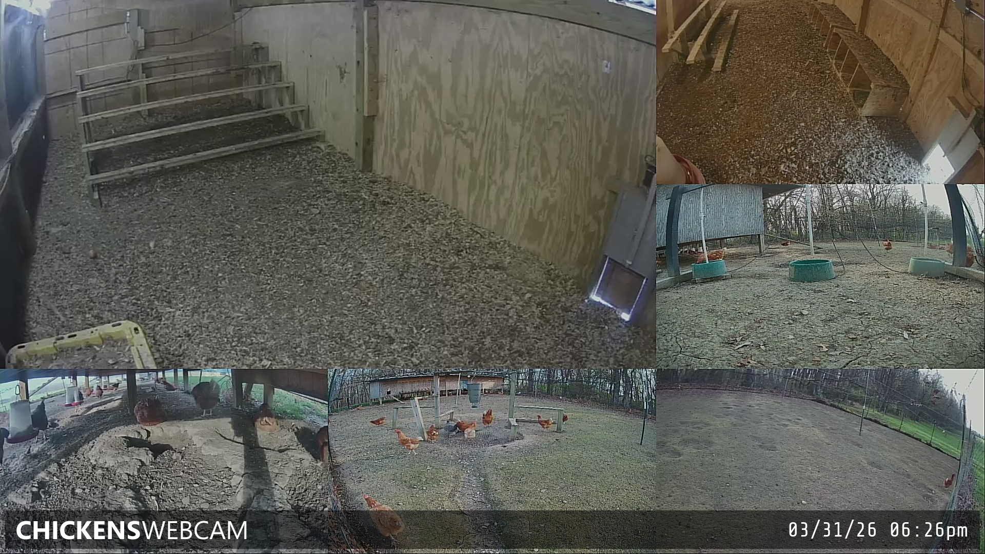 Twitch Stream Preview