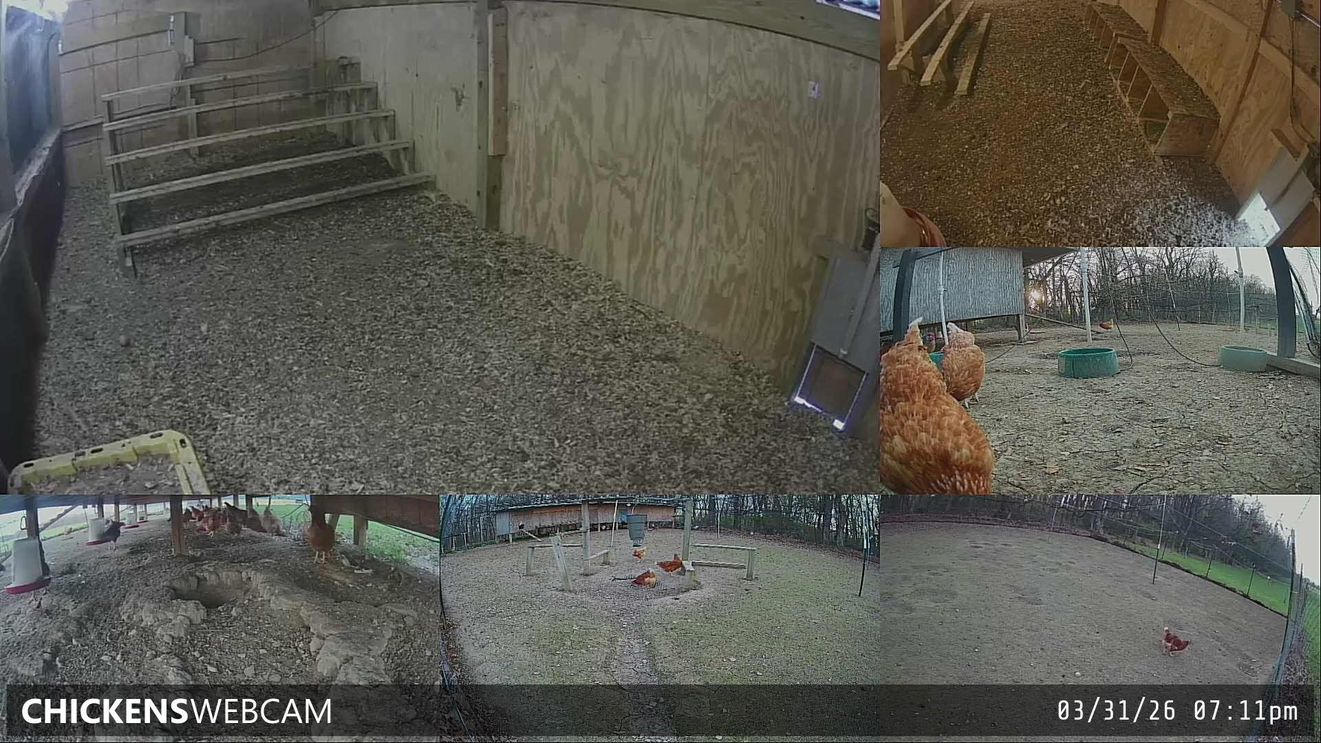 Twitch Stream Preview