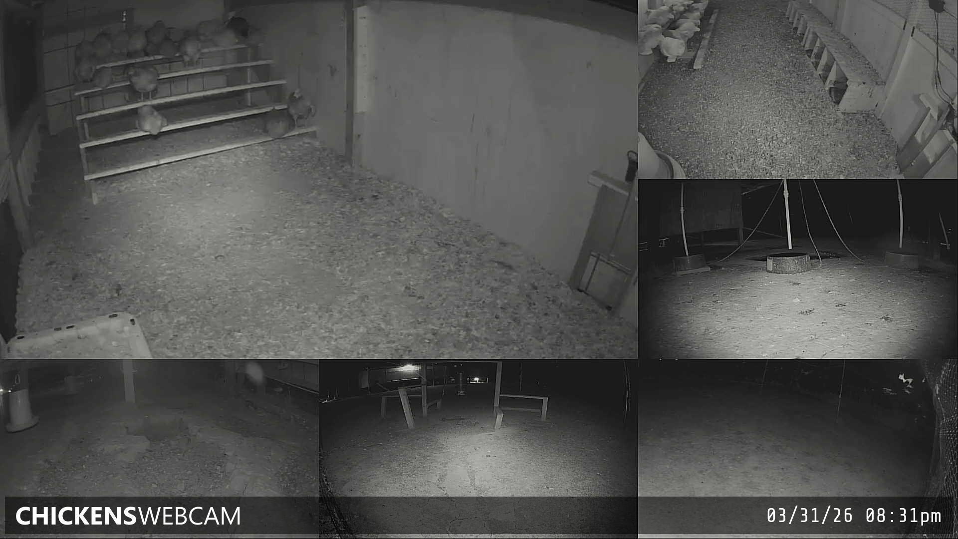 Twitch Stream Preview