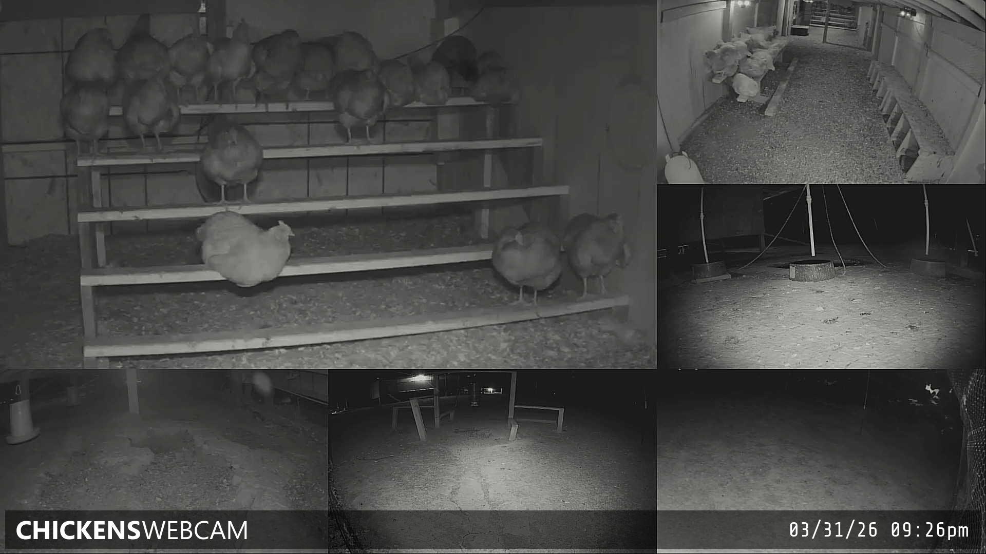 Twitch Stream Preview