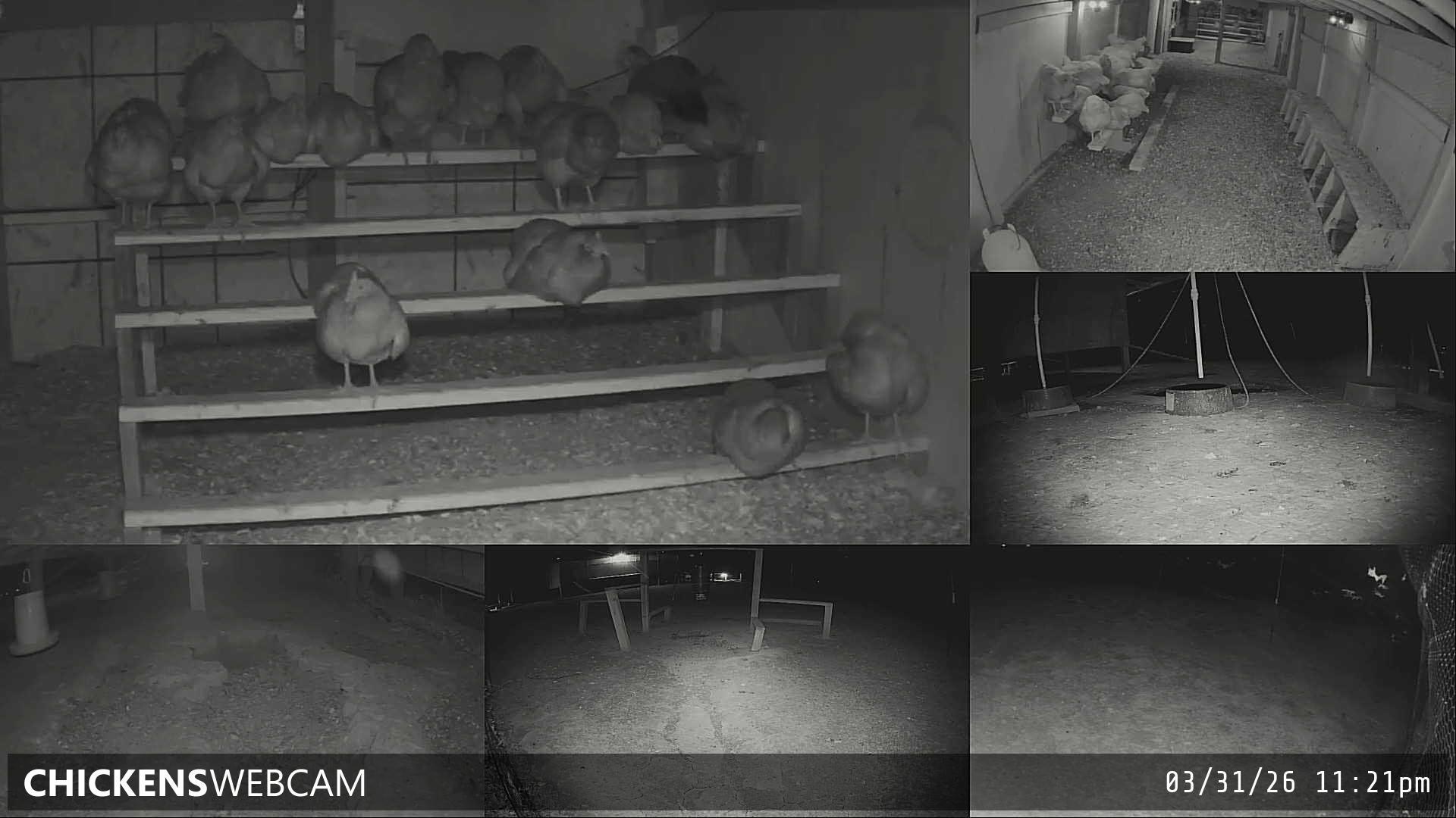 Twitch Stream Preview