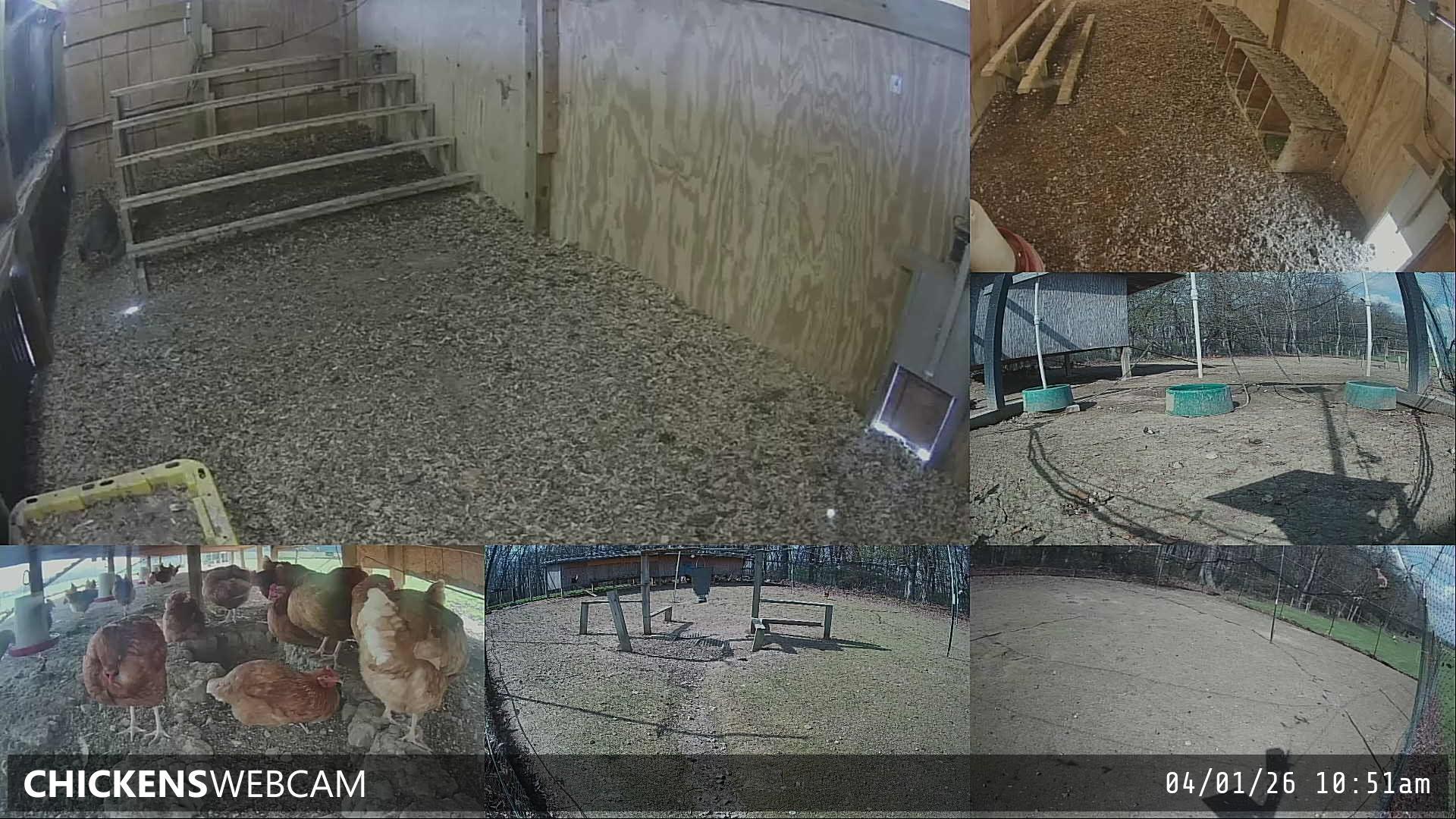 Twitch Stream Preview