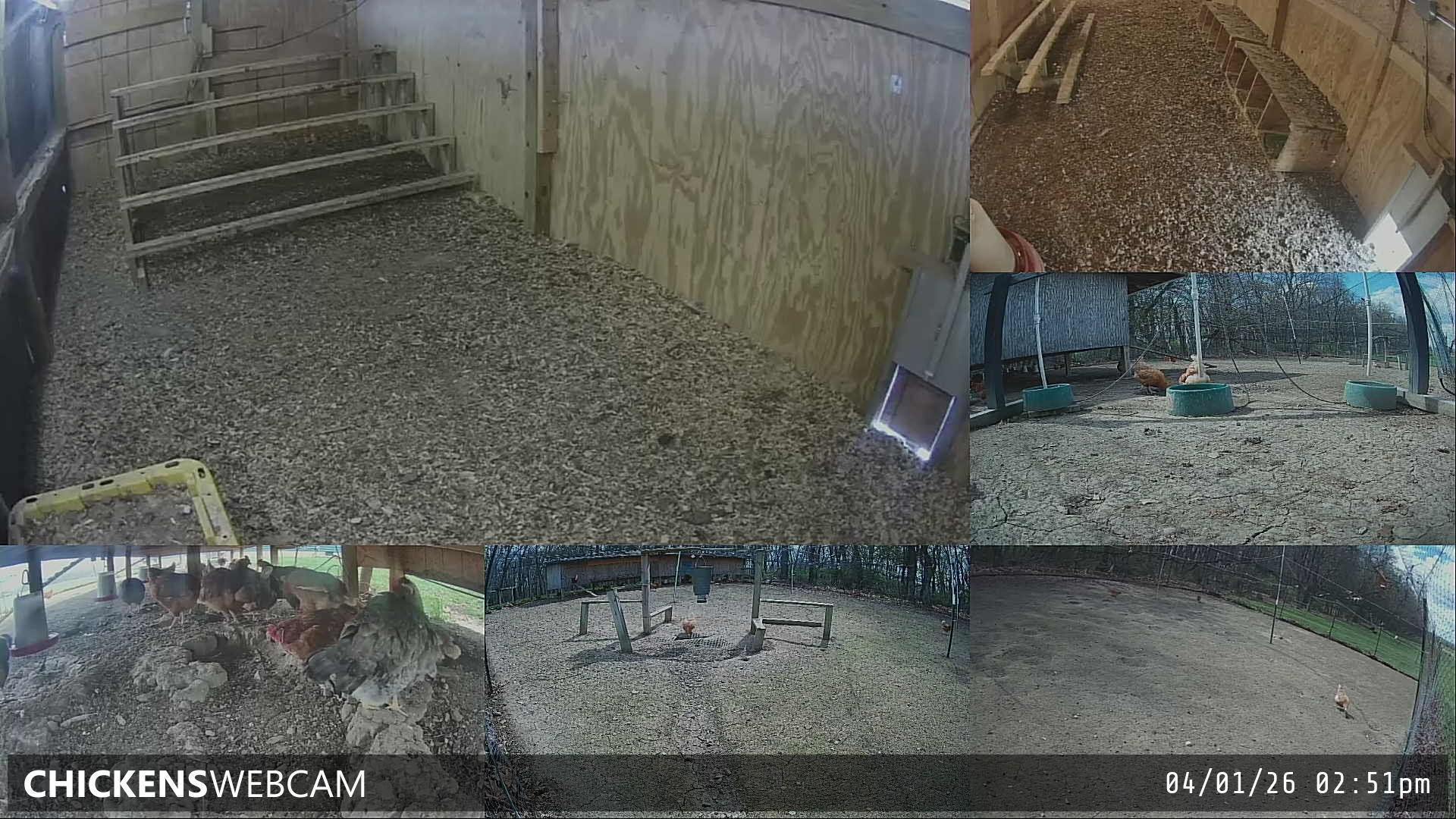 Twitch Stream Preview