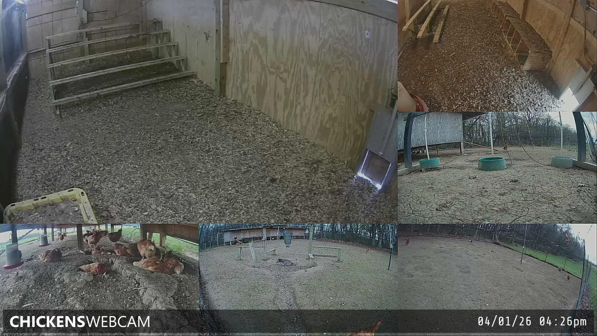 Twitch Stream Preview