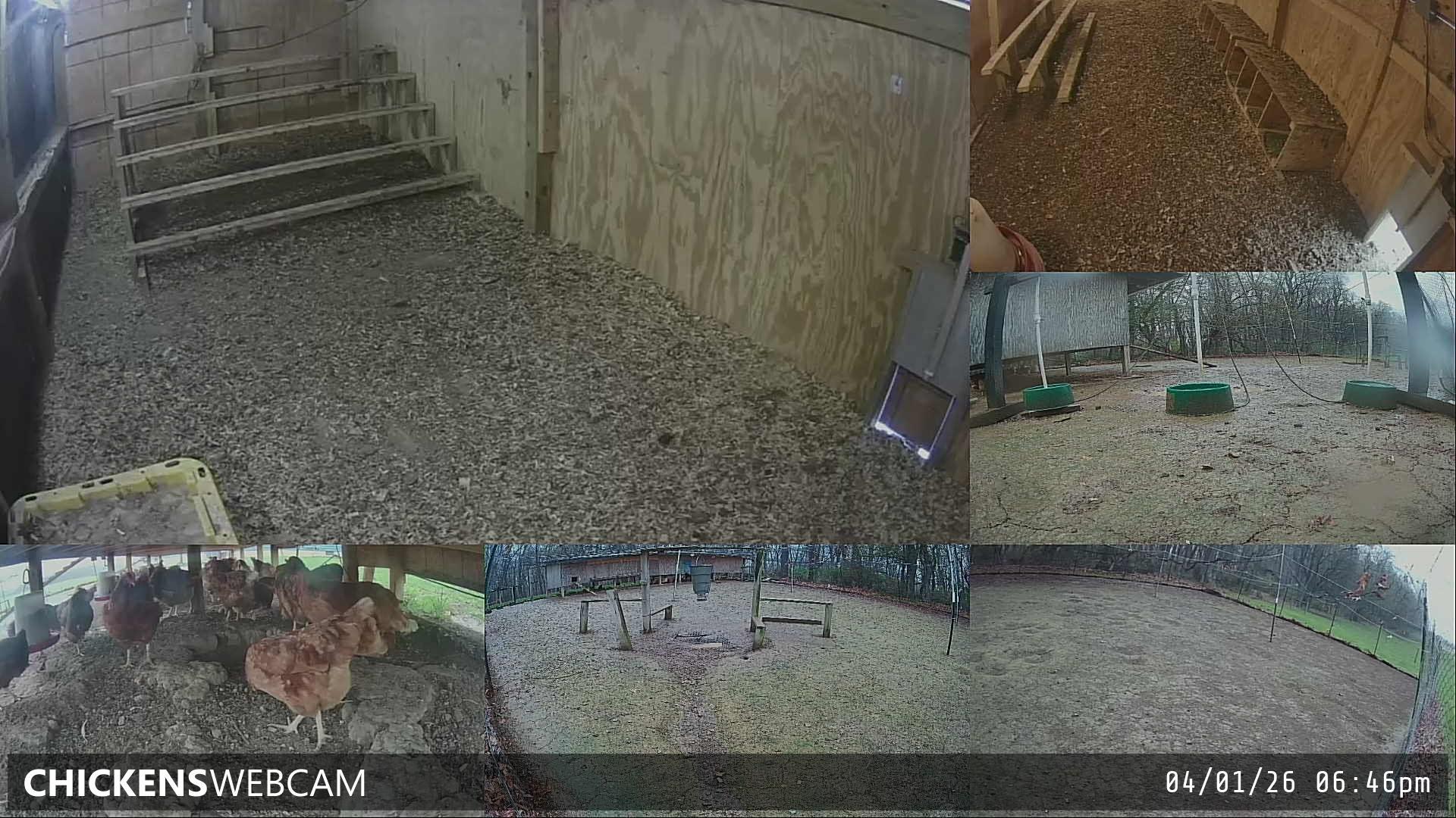 Twitch Stream Preview