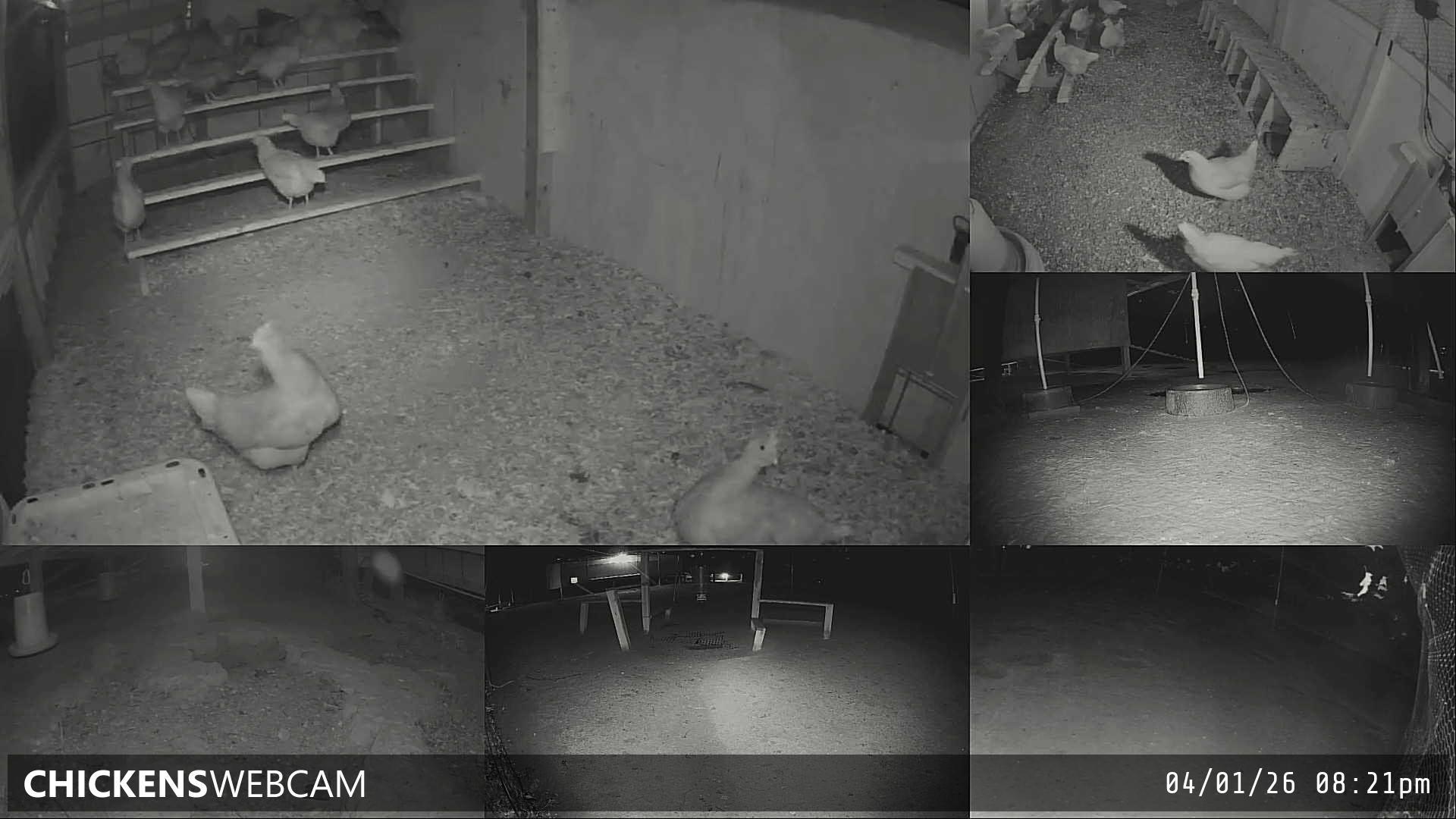 Twitch Stream Preview