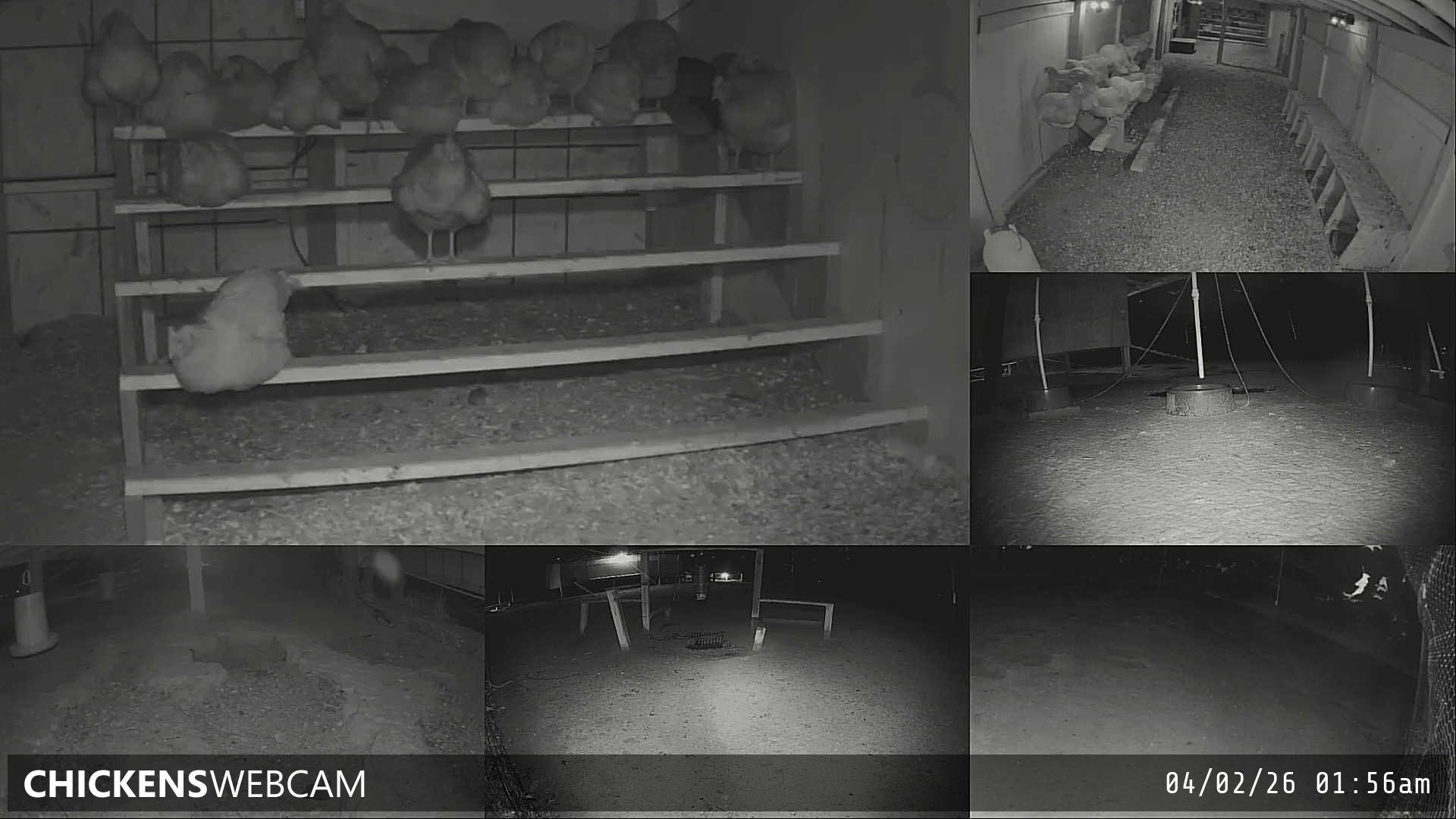 Twitch Stream Preview