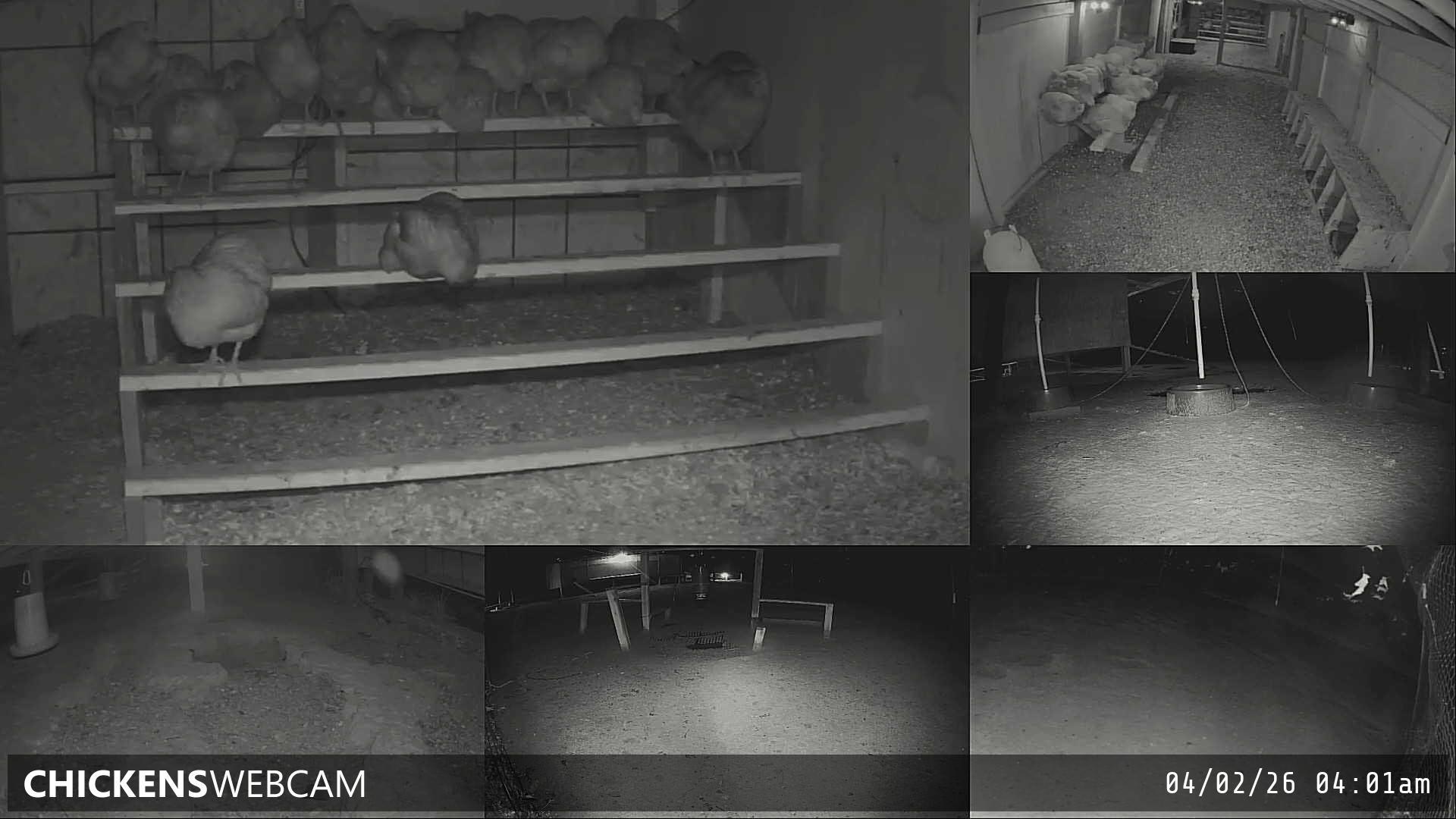 Twitch Stream Preview