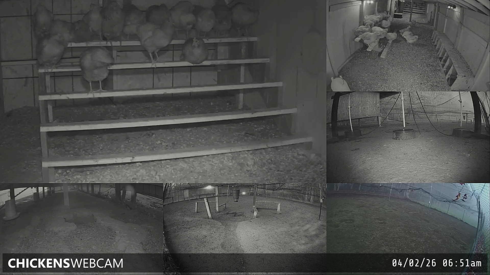 Twitch Stream Preview