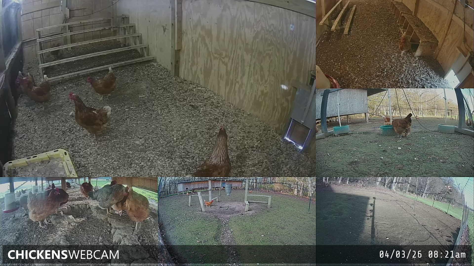 Twitch Stream Preview