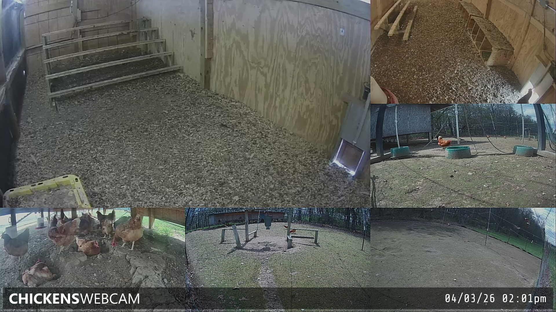 Twitch Stream Preview