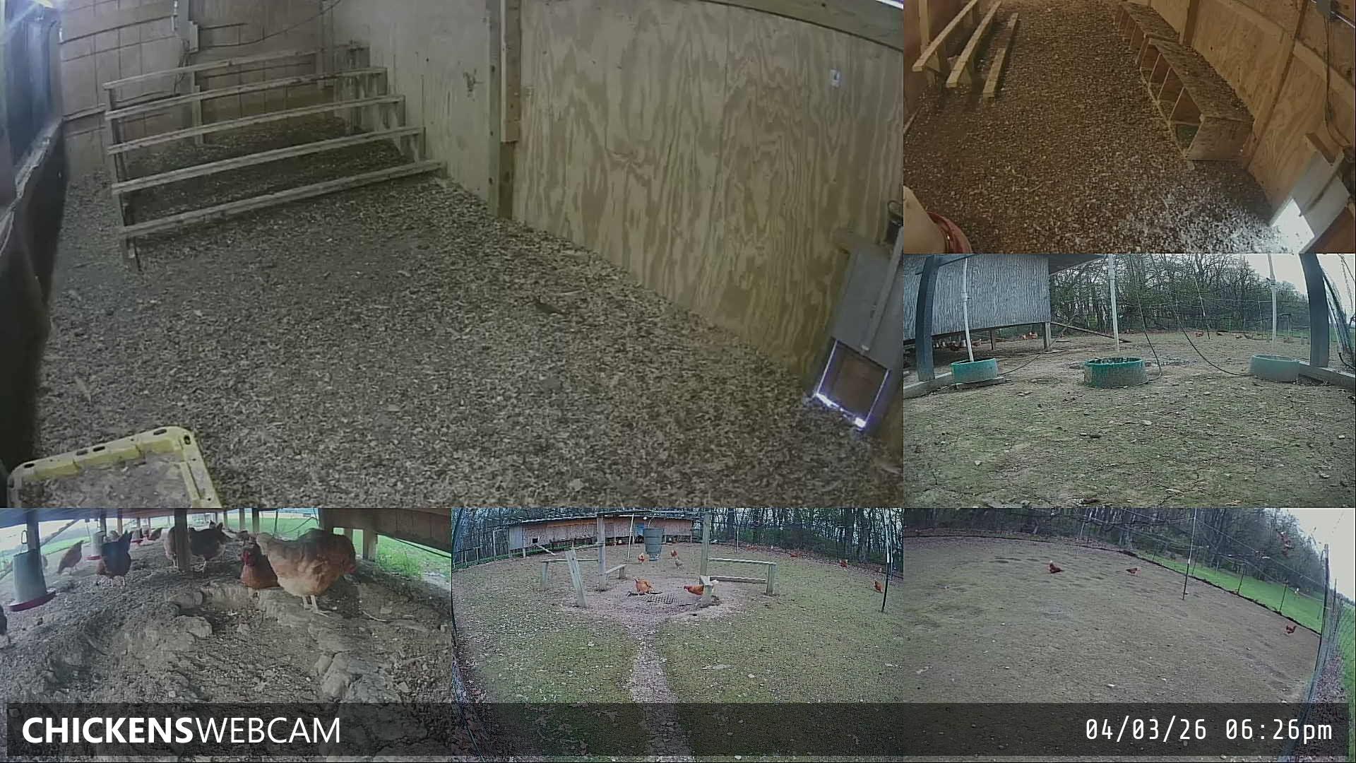 Twitch Stream Preview