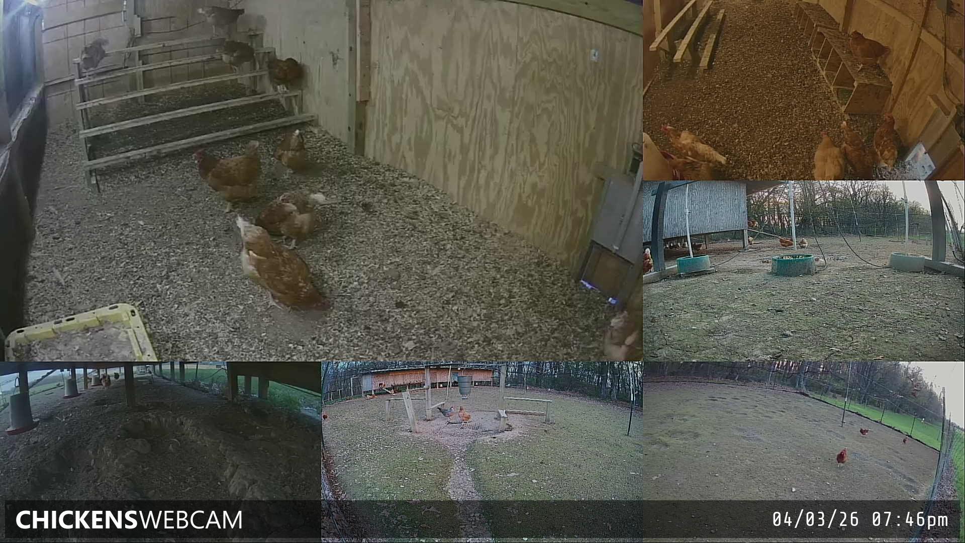 Twitch Stream Preview