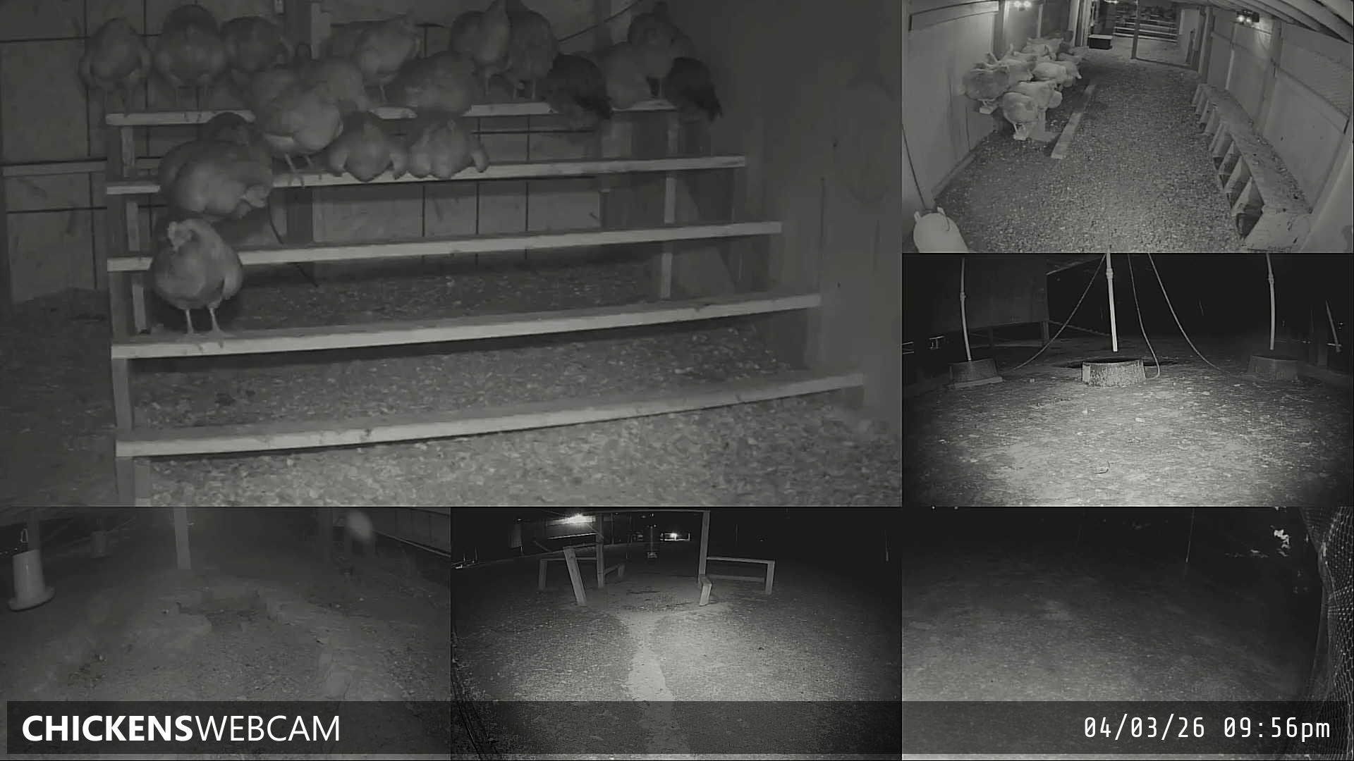 Twitch Stream Preview