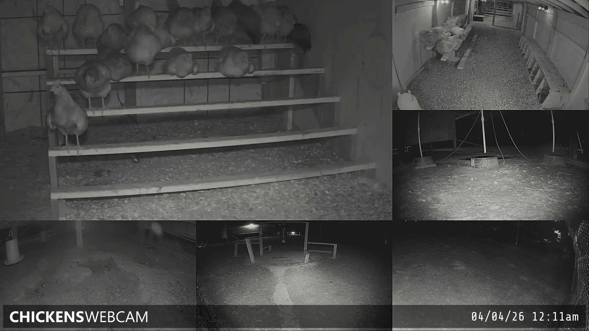 Twitch Stream Preview