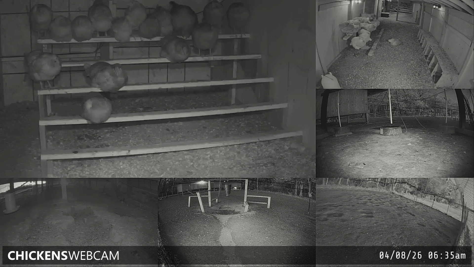 Twitch Stream Preview