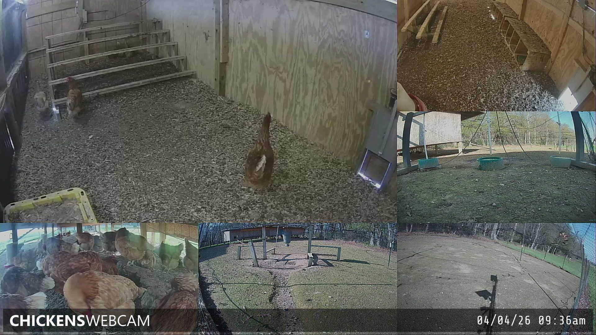 Twitch Stream Preview