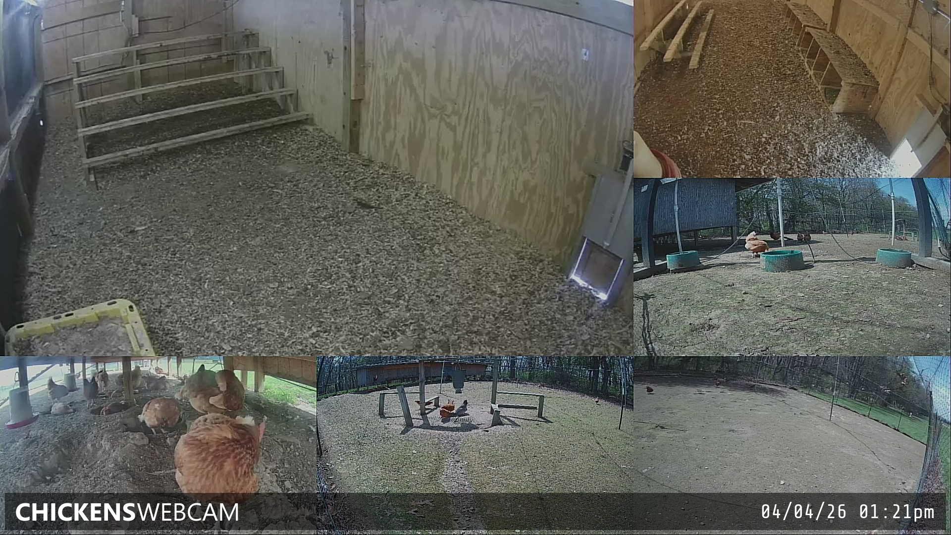 Twitch Stream Preview