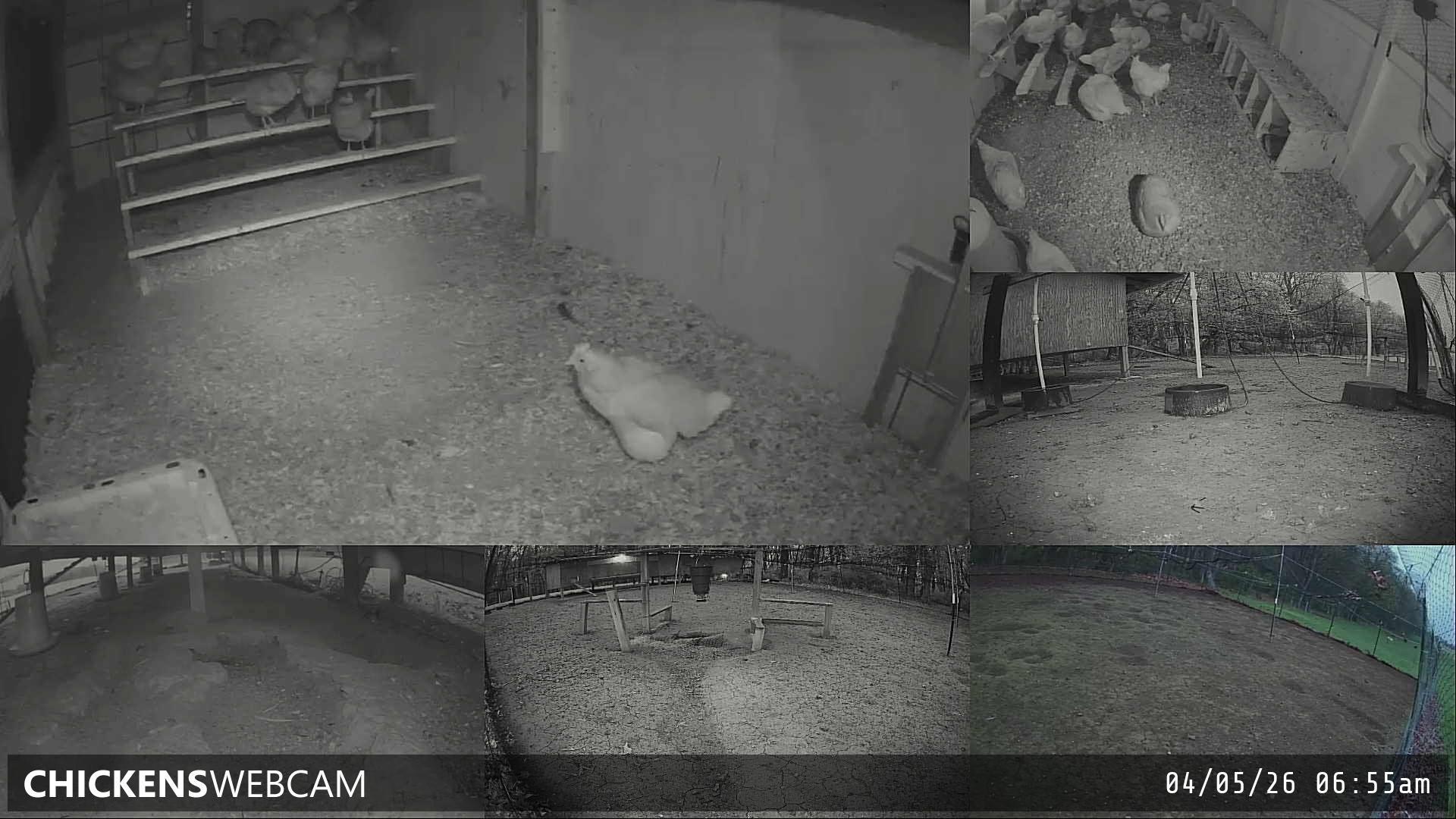 Twitch Stream Preview