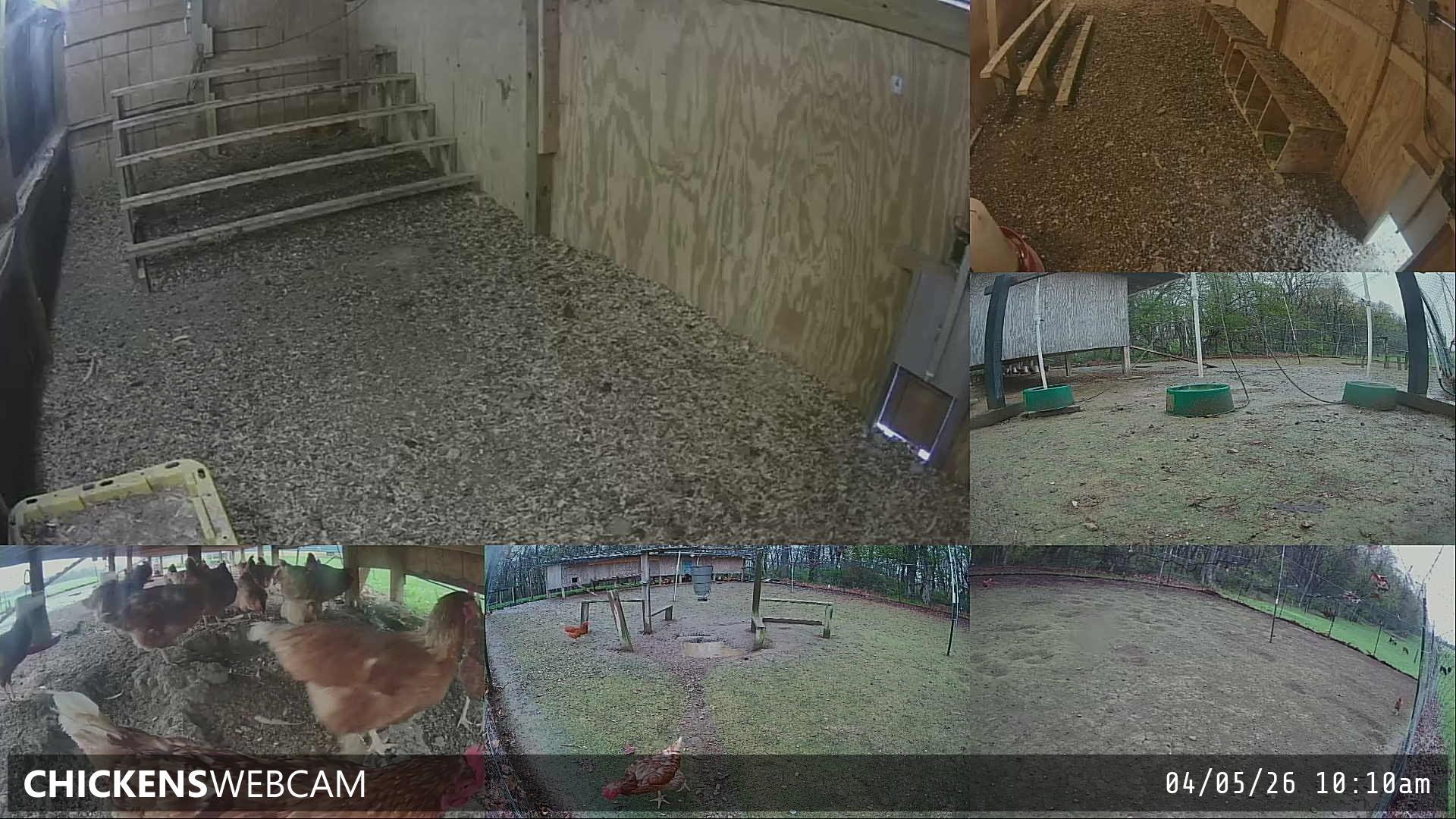 Twitch Stream Preview