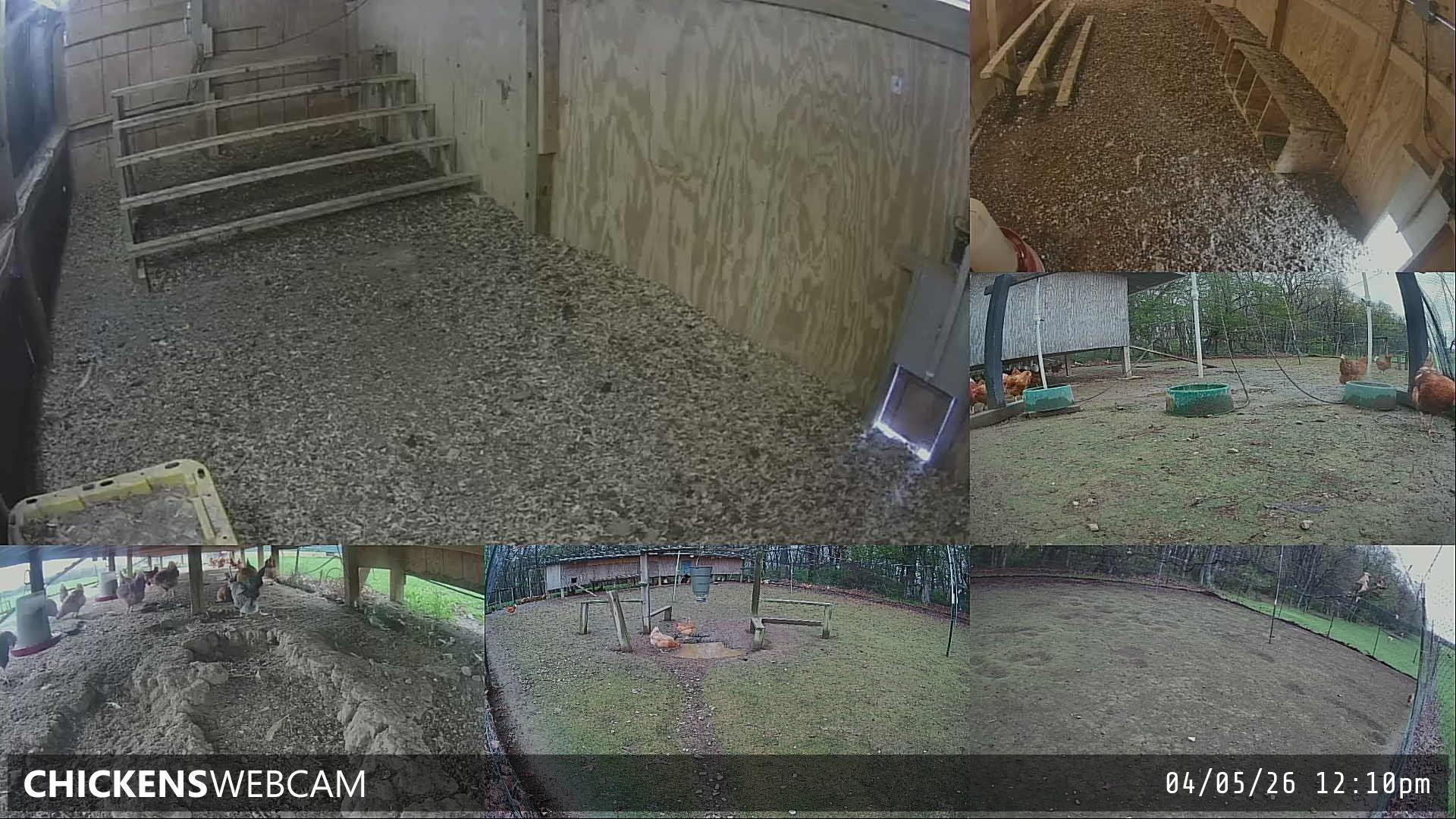 Twitch Stream Preview