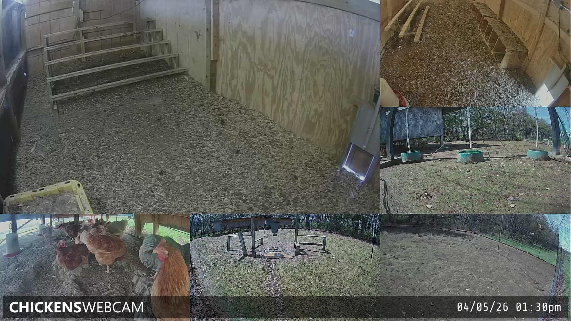 Twitch Stream Preview