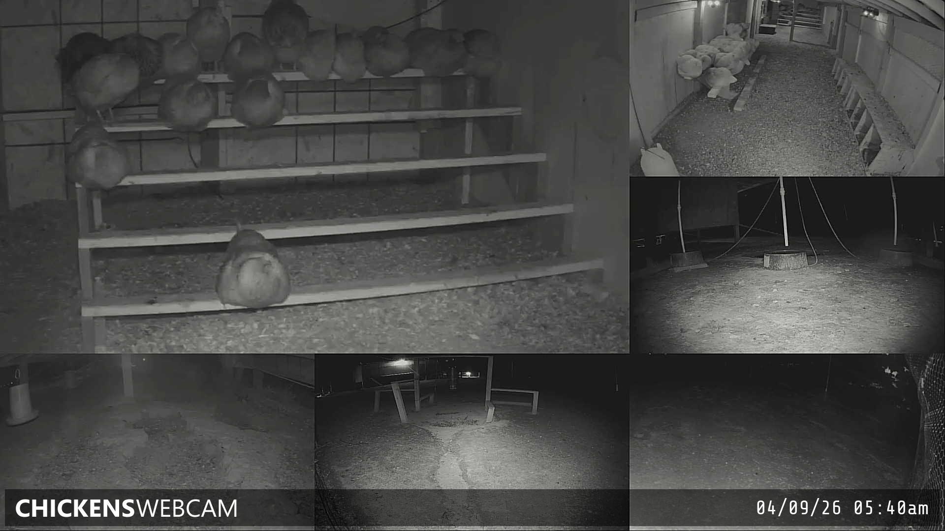 Twitch Stream Preview