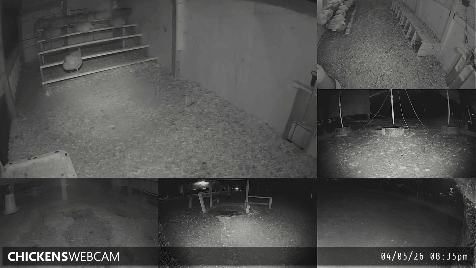 Twitch Stream Preview