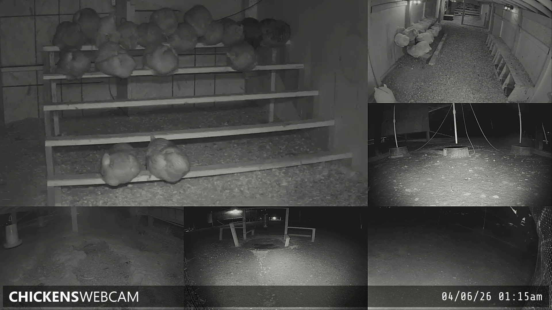 Twitch Stream Preview